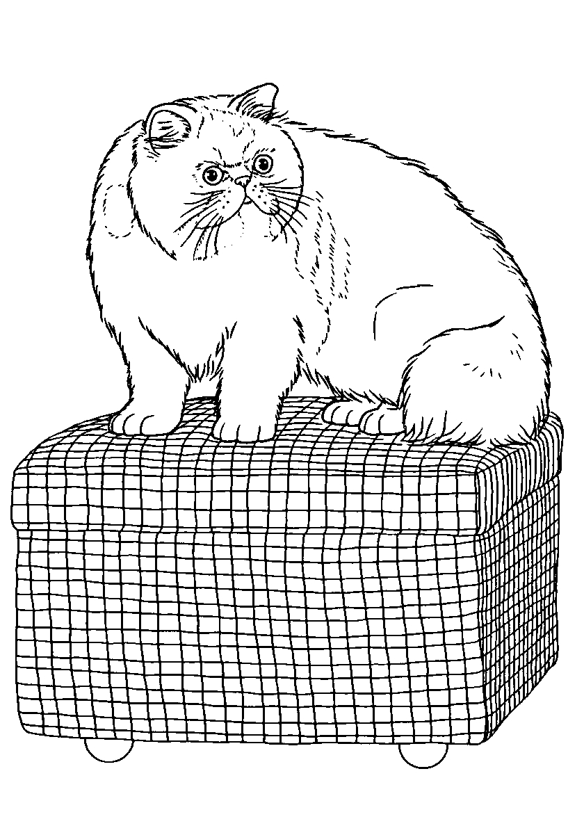 Кот на чемодане №89. Популярные раскраски. Коты, кошки, котята.