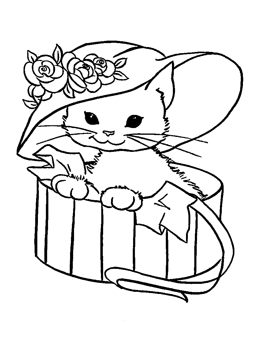 Котенок под шляпкой №107. Популярные раскраски. Коты, кошки, котята.
