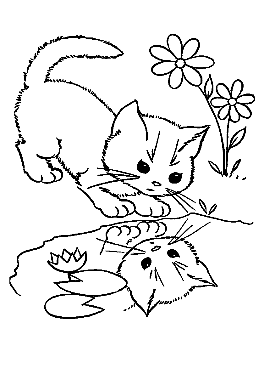 Котик смотрит в отражение №106. Популярные раскраски. Коты, кошки, котята.