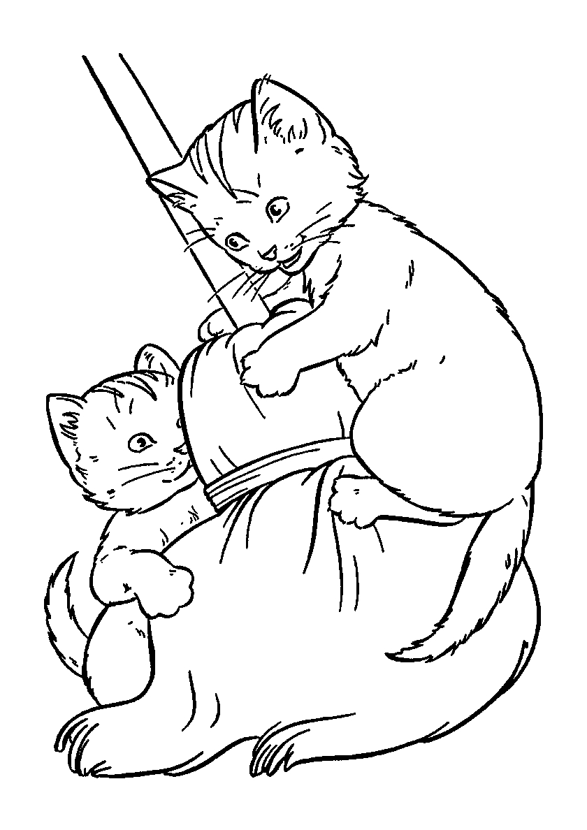 Котята на метле №120. Популярные раскраски. Коты, кошки, котята.