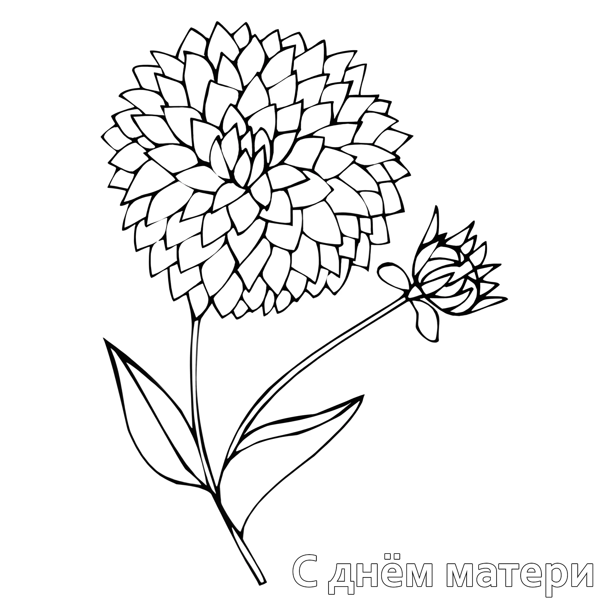 Георгин №14664. Праздничные и сезонные раскраски. День Матери.