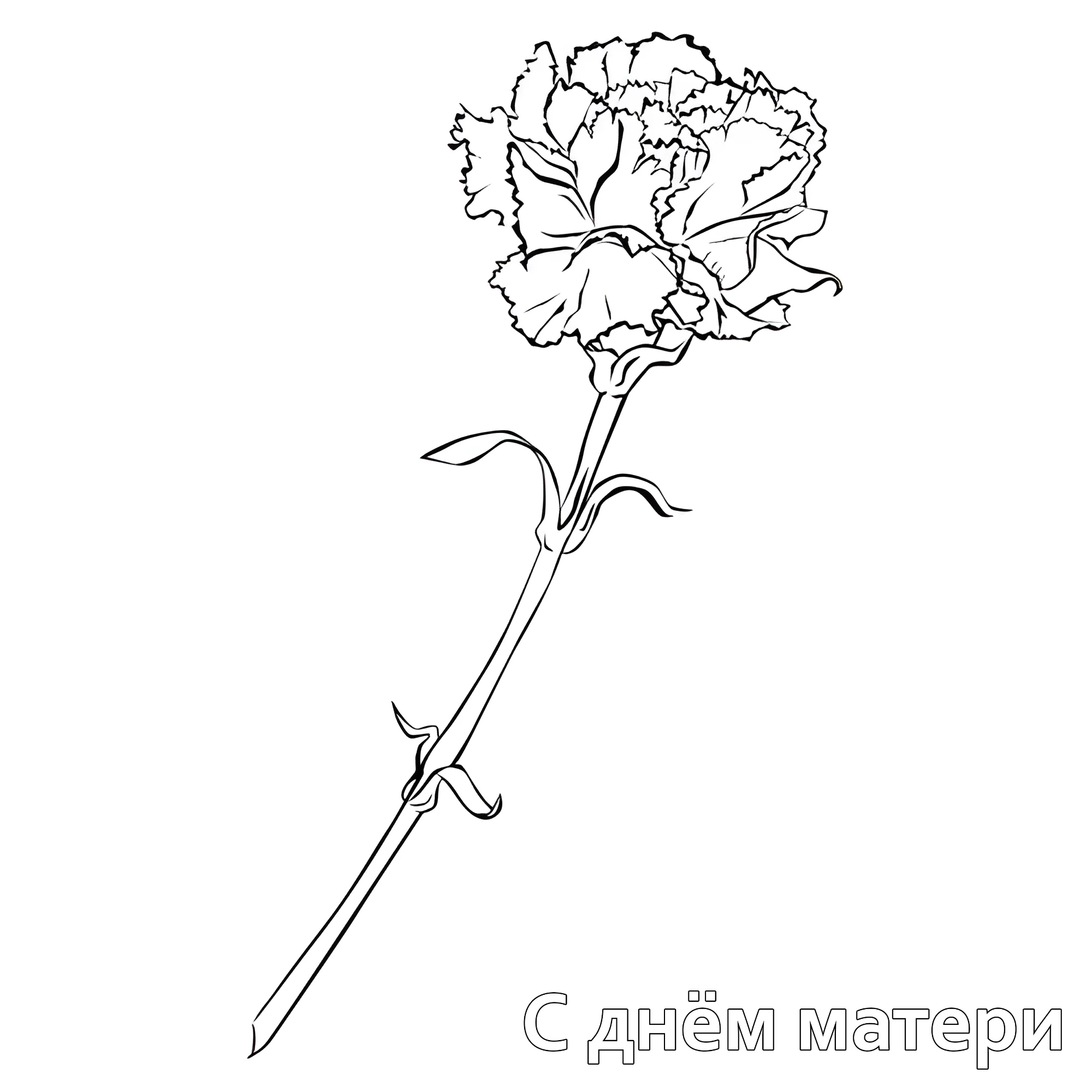 Гвоздика №14716. Праздничные и сезонные раскраски. День Матери.