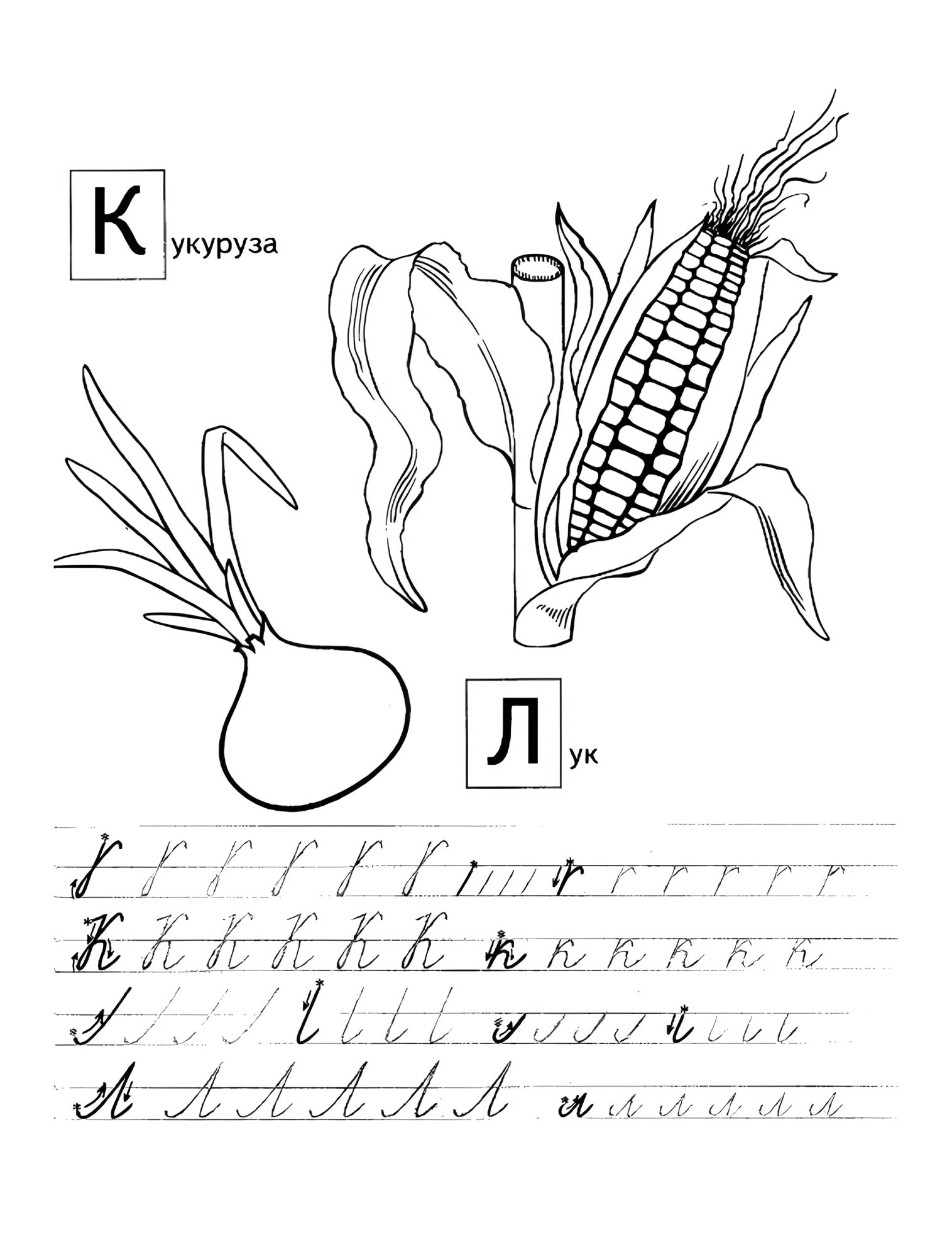 Прописи с овощами К Л №628. Прописи онлайн. Обводилки для дошкольников (хорошего качества).