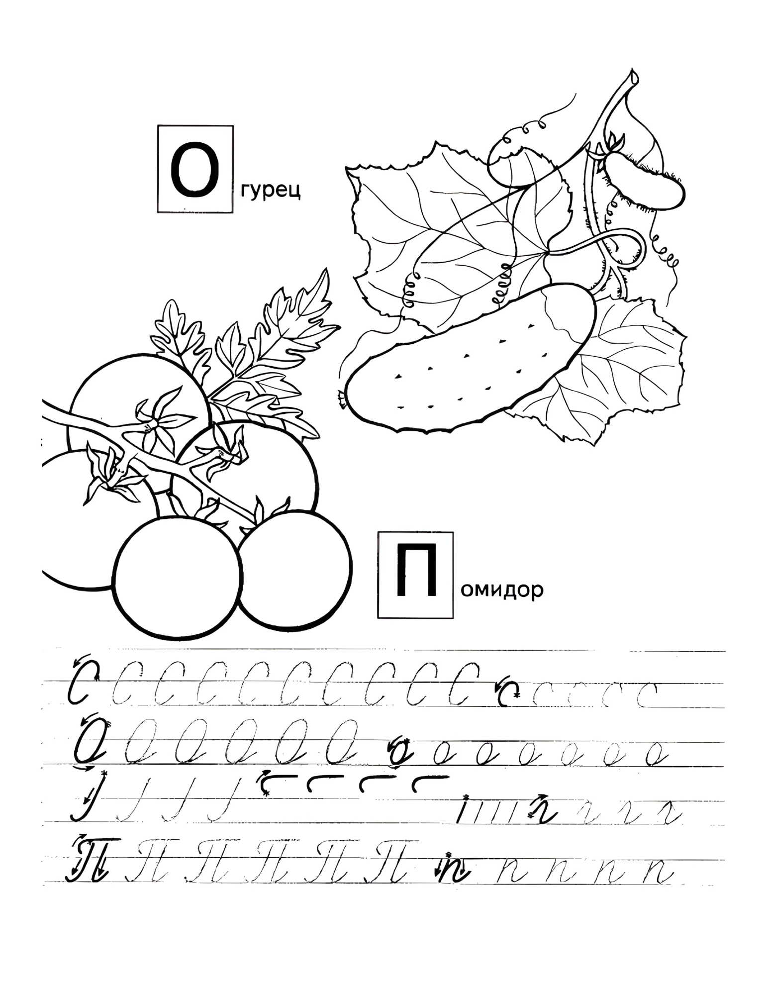 Прописи с овощами О П, учим овощи №630. Прописи онлайн. Обводилки для дошкольников (хорошего качества).