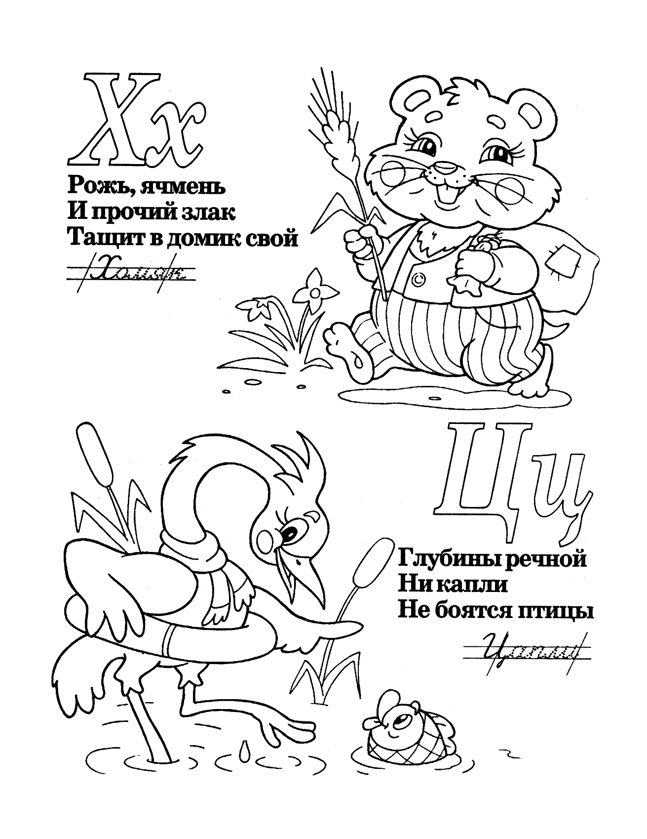 Буквы Х Ц со стихами №421. Прописи онлайн. Прописи-раскраски для 1 класса.