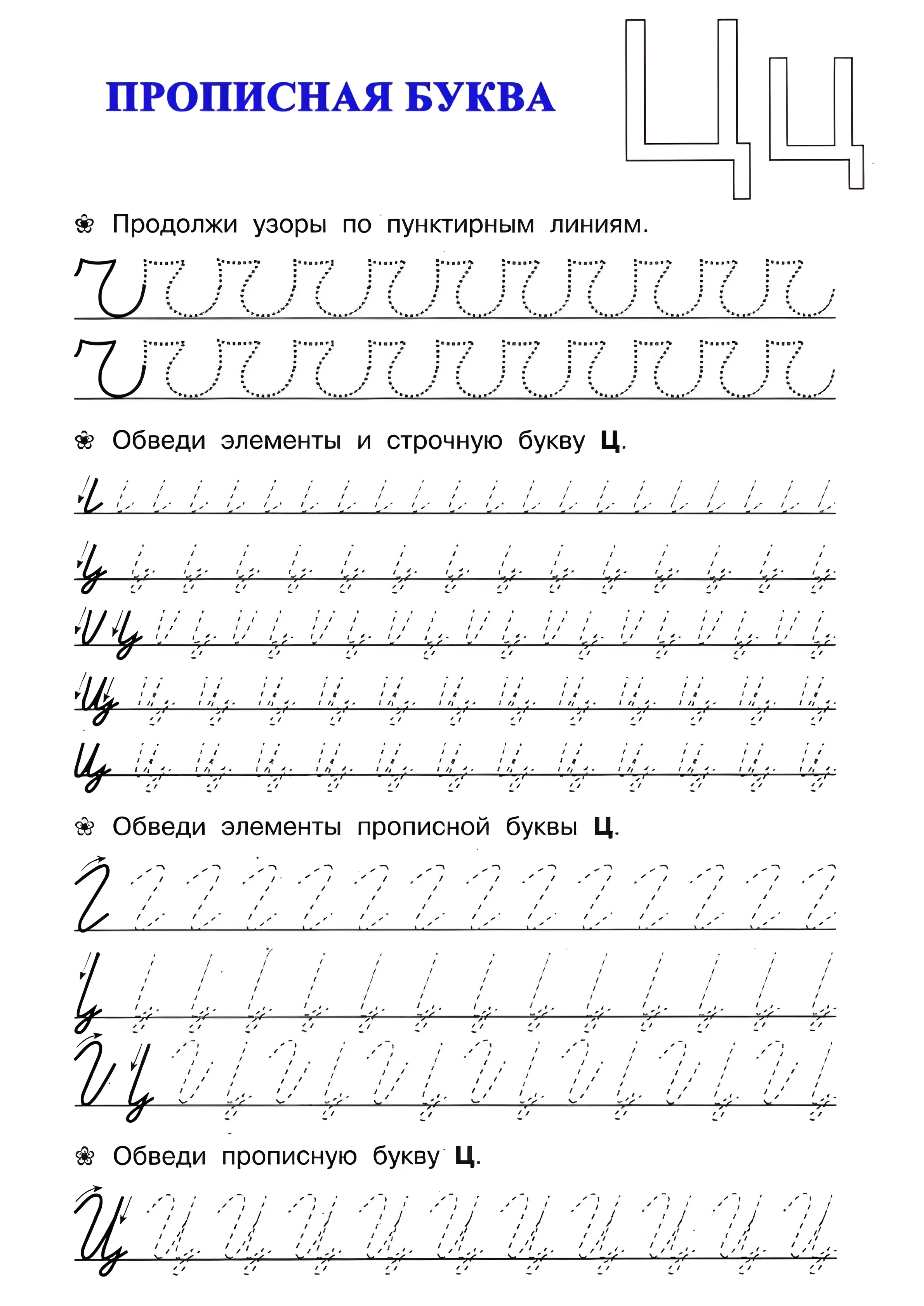 Буква Ц, прописи дошкольникам №39. Прописи онлайн. Прописи для дошкольников и учеников начальной школы в хорошем качестве.