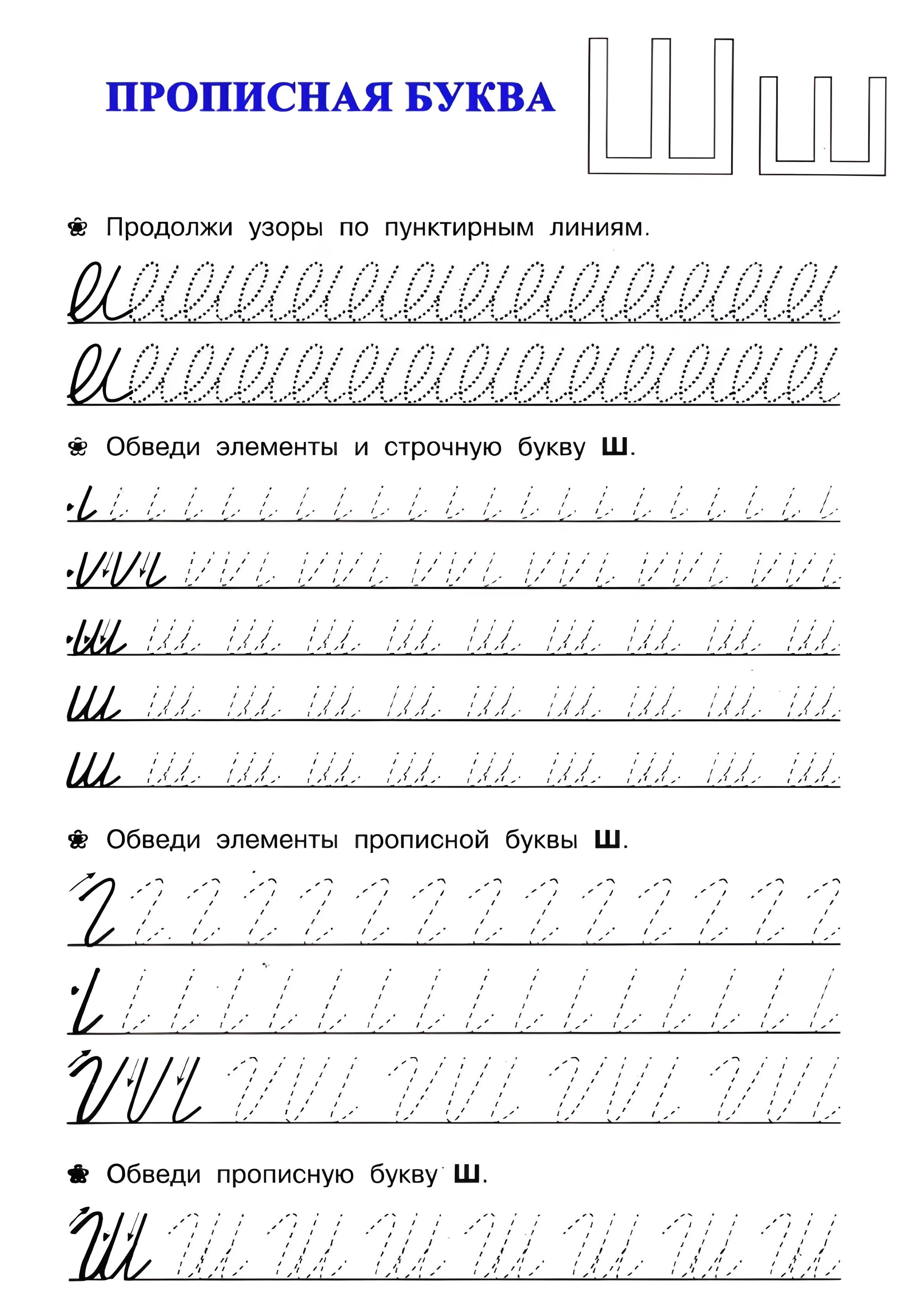 Прописи для дошкольников, буква Ш №41. Прописи онлайн. Прописи для дошкольников и учеников начальной школы в хорошем качестве.