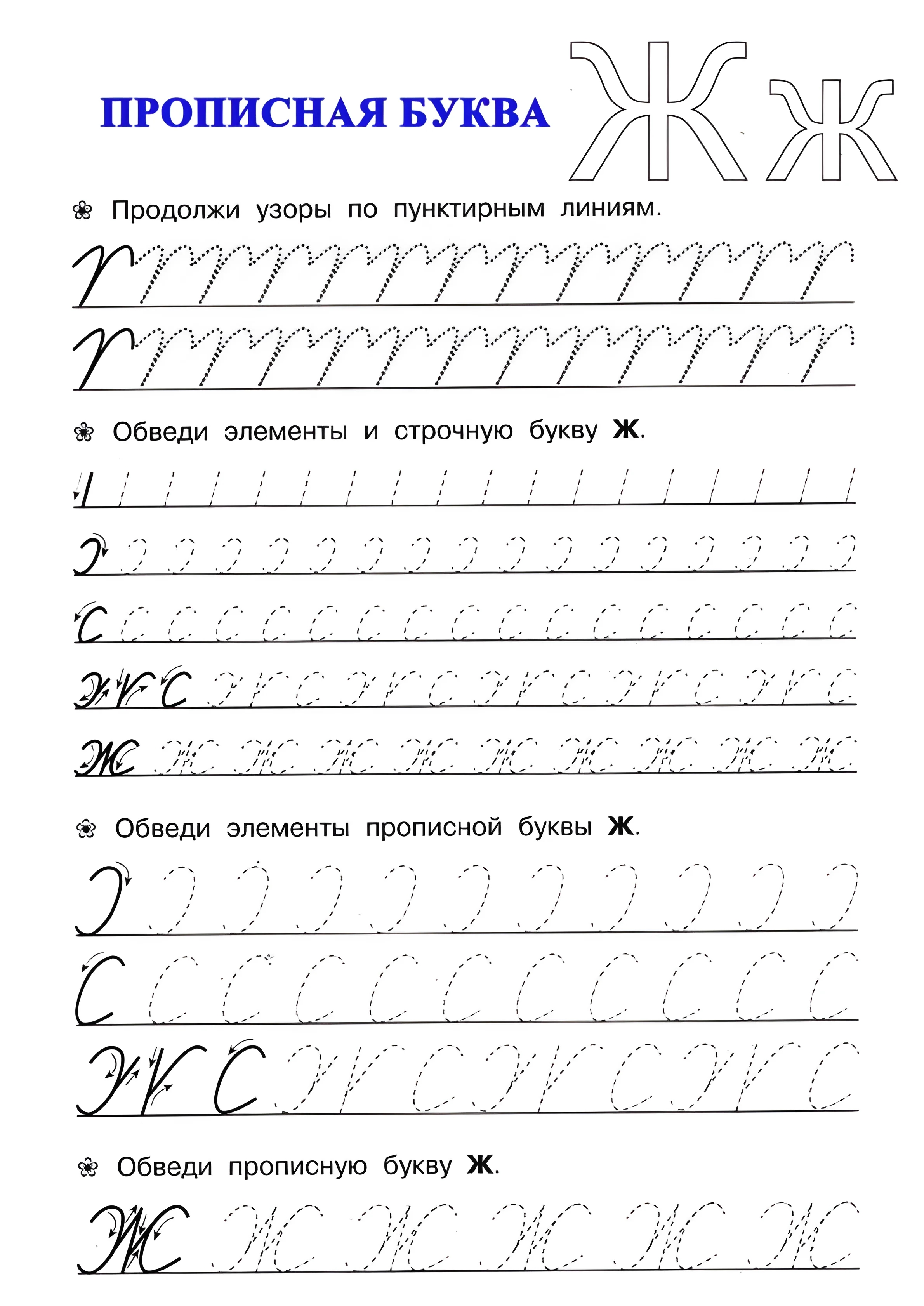Прописная буква Ж №23. Прописи онлайн. Прописи для дошкольников и учеников начальной школы в хорошем качестве.
