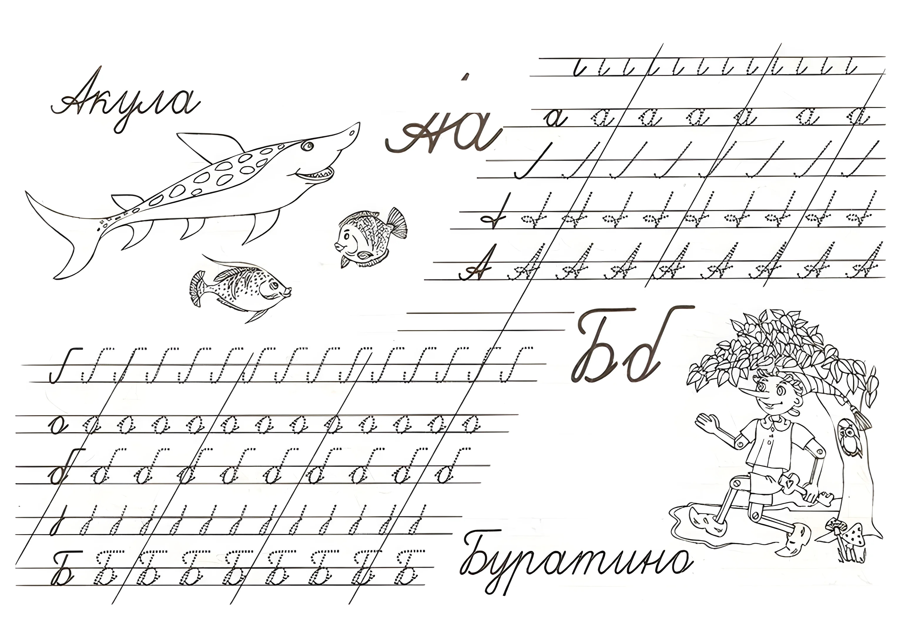 прописи букв a, б, для 1 класса №250. Прописи онлайн. Прописные буквы для начальной школы.