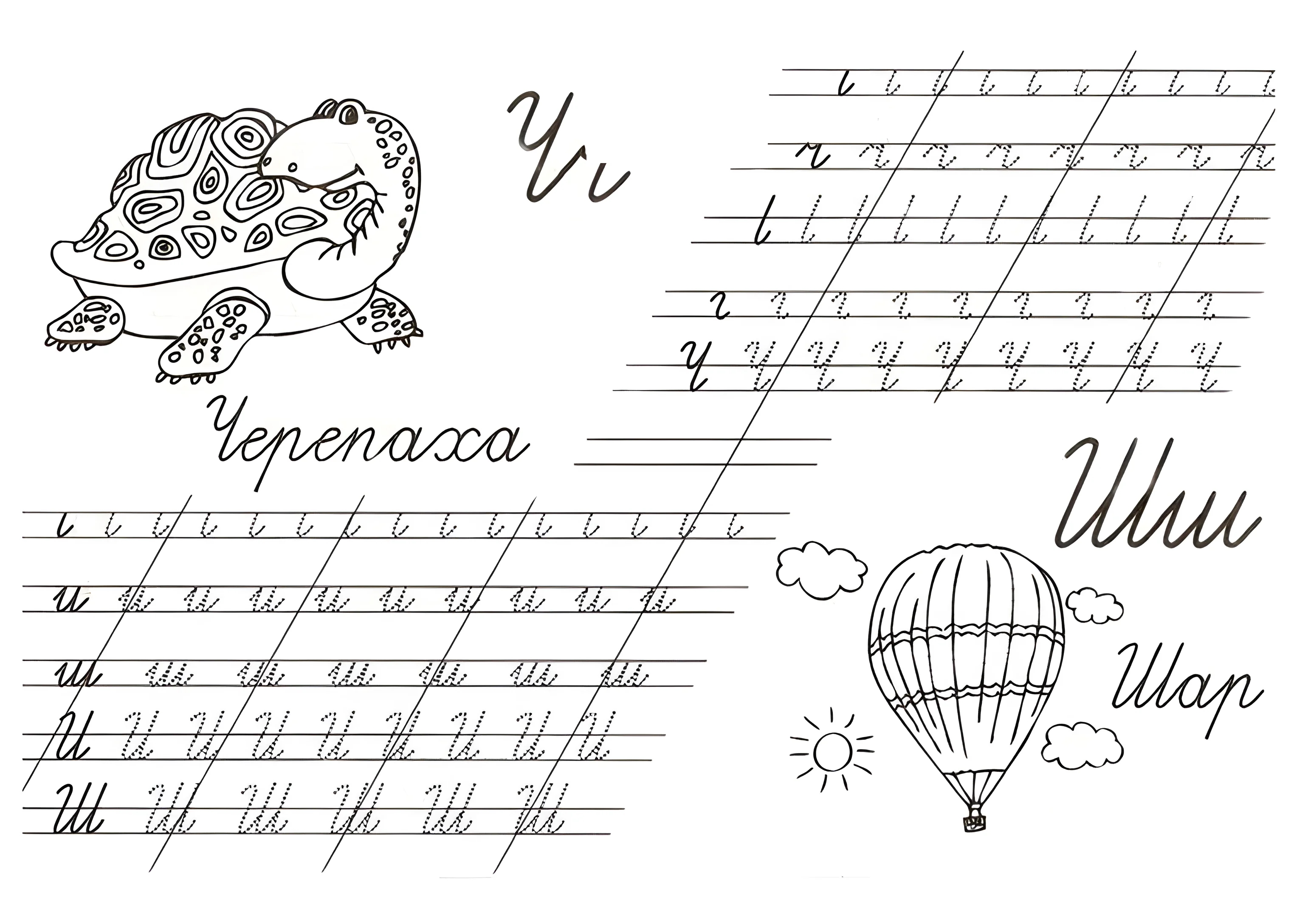 прописи букв ч, ш №262. Прописи онлайн. Прописные буквы для начальной школы.