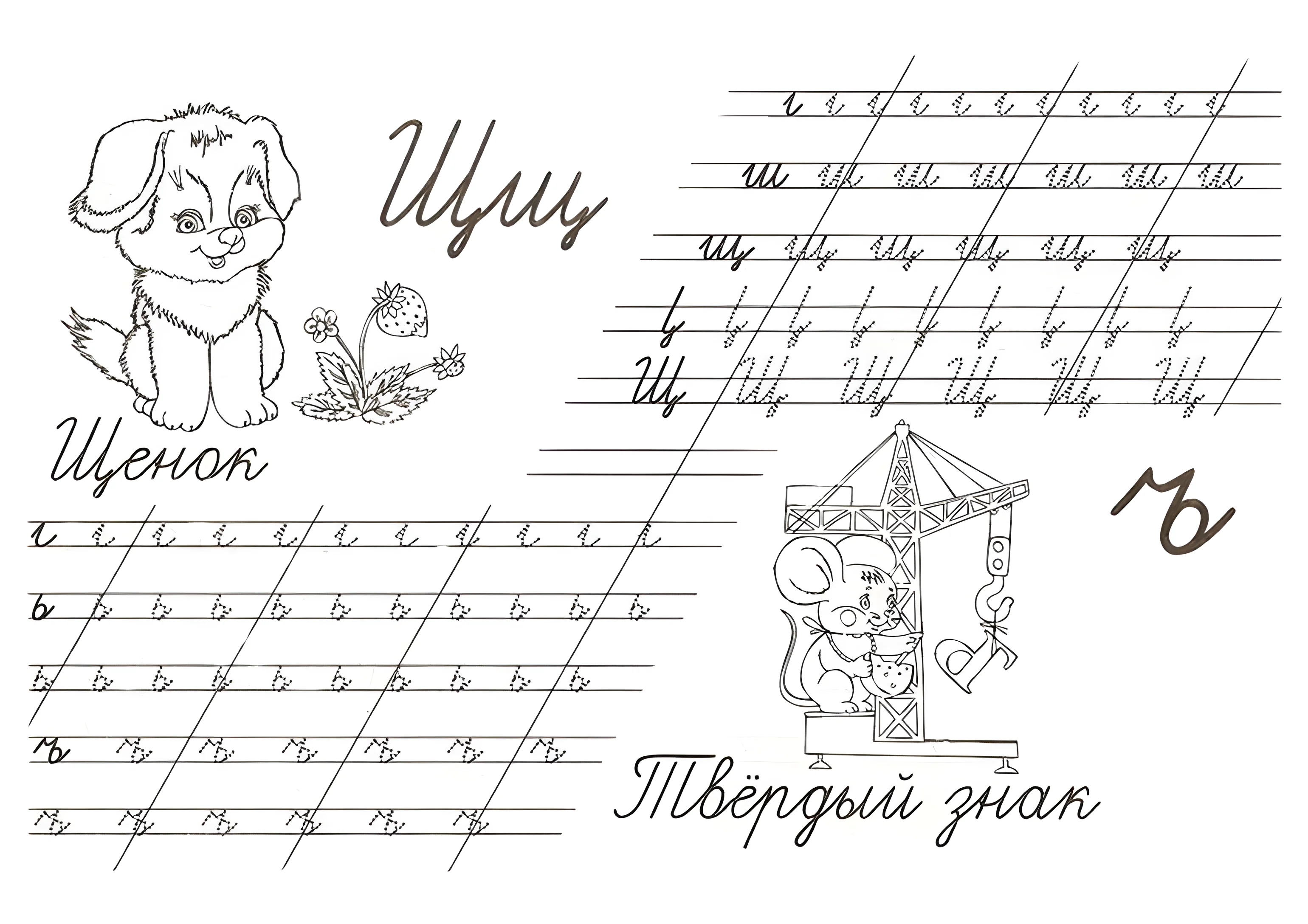 прописи букв щ,ъ №263. Прописи онлайн. Прописные буквы для начальной школы.