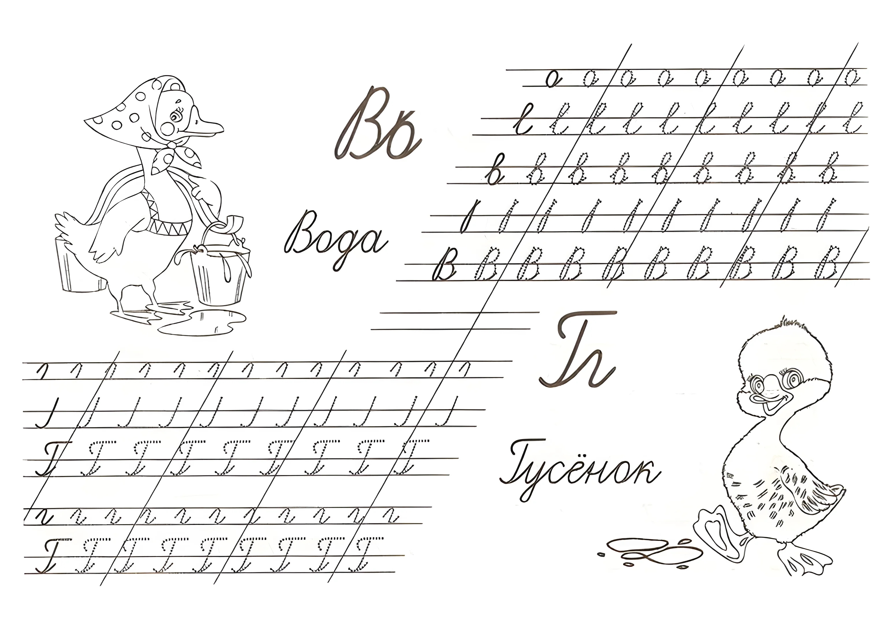 прописи букв в, г, 1 класс №251. Прописи онлайн. Прописные буквы для начальной школы.
