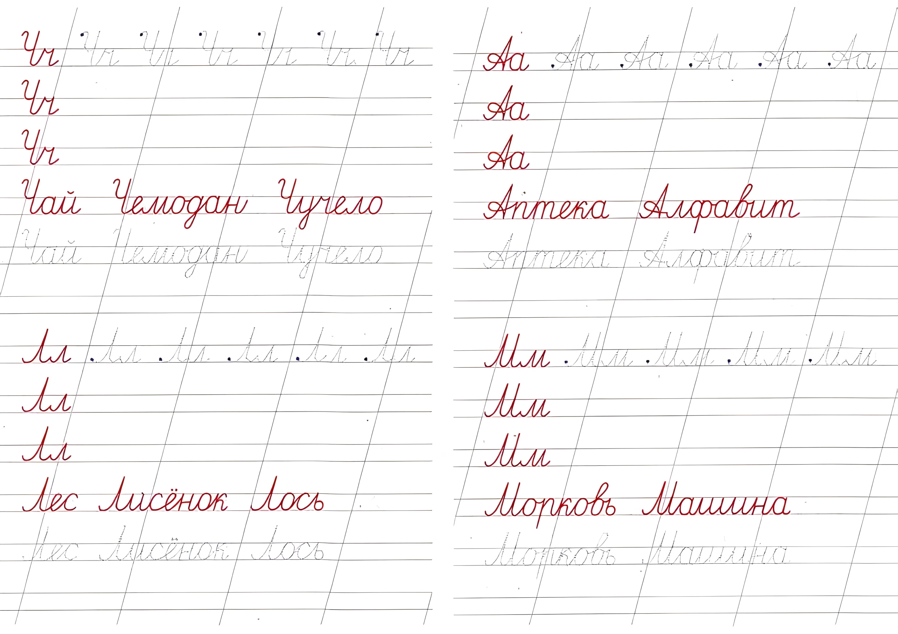 Правильное написание прописных букв №202. Прописи онлайн. Прописные русские буквы и неразрывное написание букв в прописях.