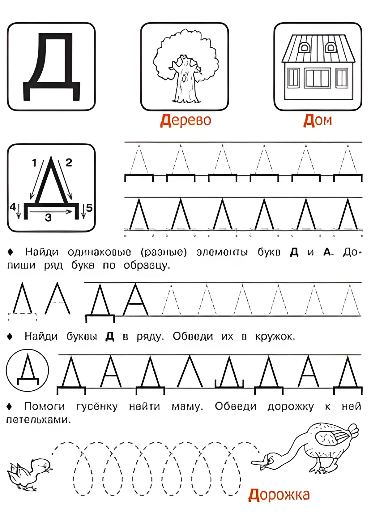 Буква Д - Русские прописи для детей для распечатки №174. Прописи онлайн. Русские прописи печатных букв для детей с картинками супер-качества на A4.