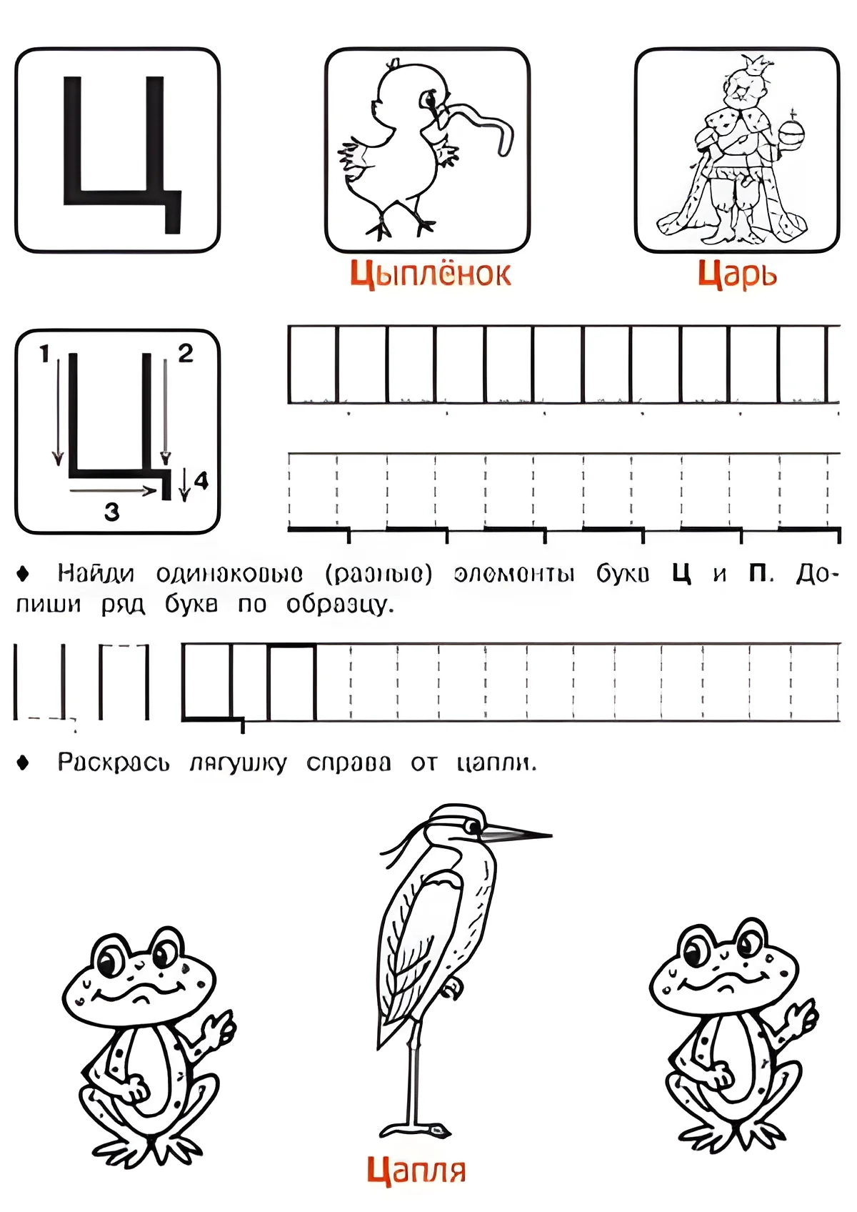Буква Ц - Русские прописи для детей для распечатки №192. Прописи онлайн. Русские прописи печатных букв для детей с картинками супер-качества на A4.
