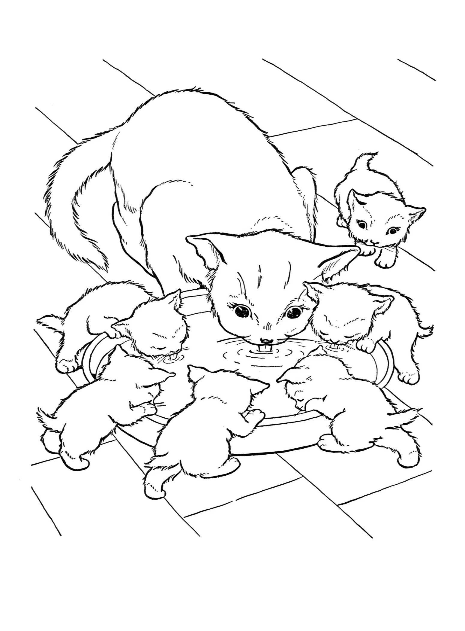 Кошка с котятами пьют молоко №2884. Раскраски для девочек по категориям. Котики.