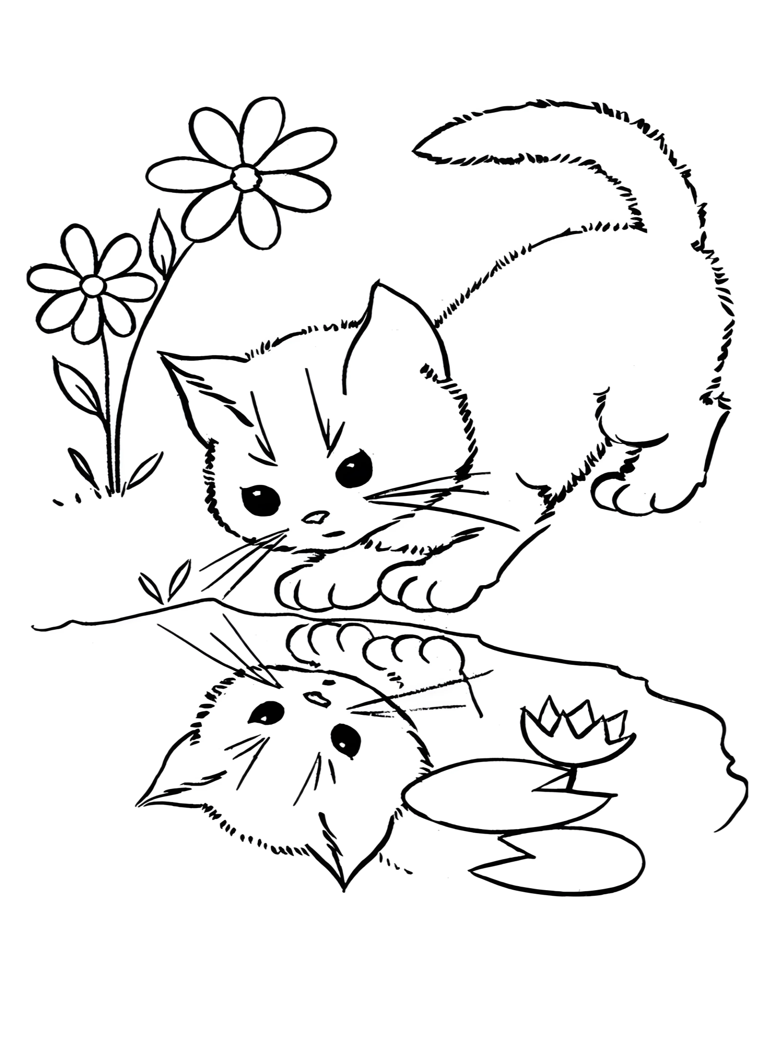 Котик смотрит в отражение №2897. Раскраски для девочек по категориям. Котики.