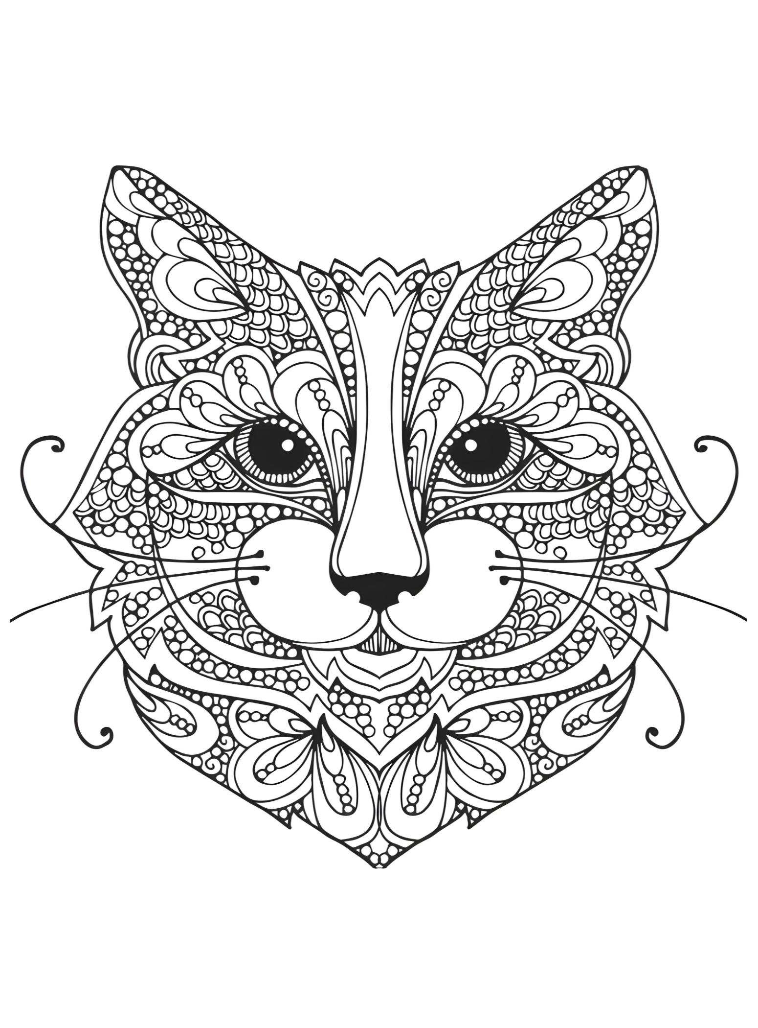 Котофей. Котик. Кот. Антистресс раскраска №2905. Раскраски для девочек по категориям. Котики.