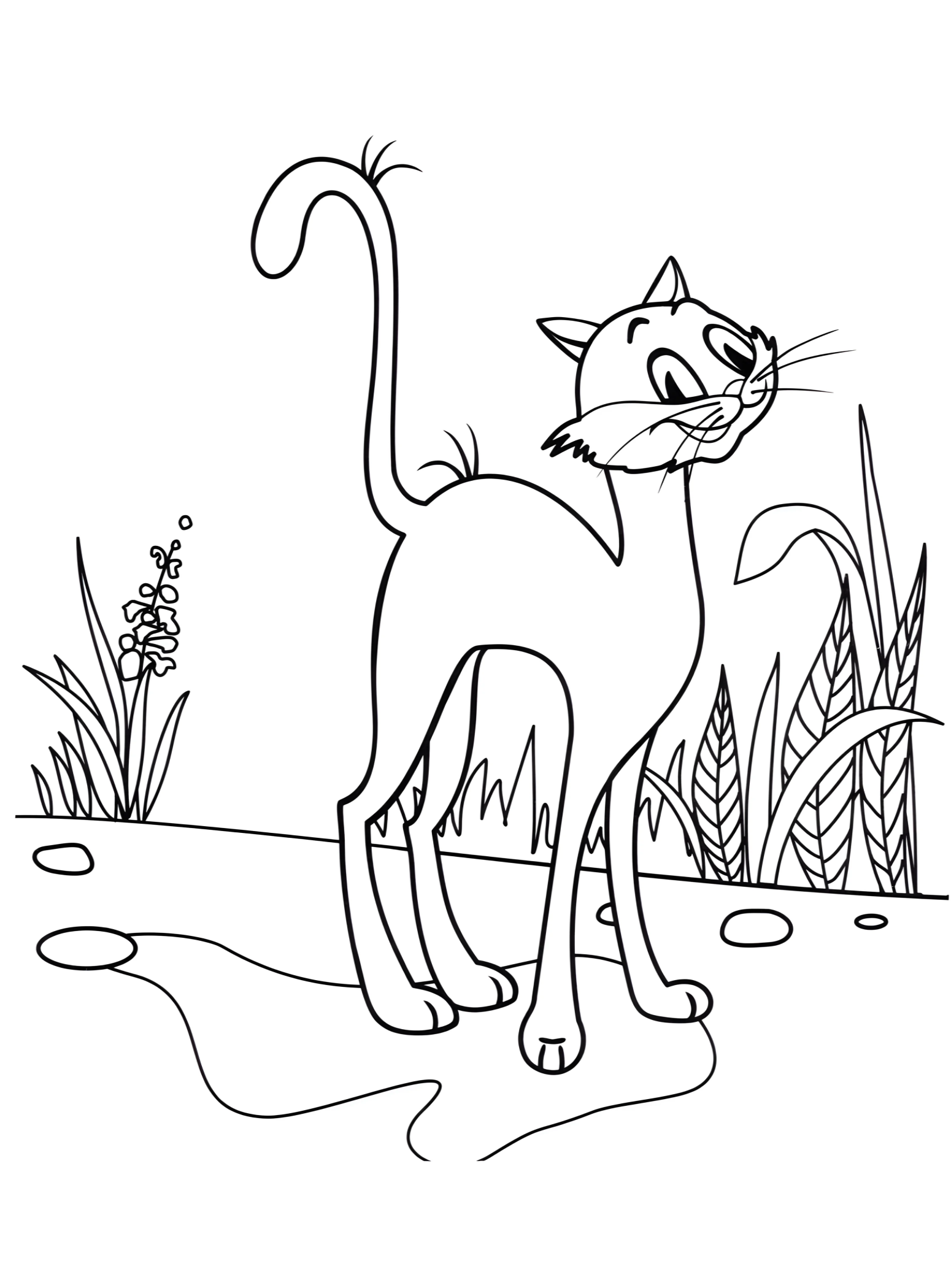 Котяра гуляет №2945. Раскраски для девочек по категориям. Котики.
