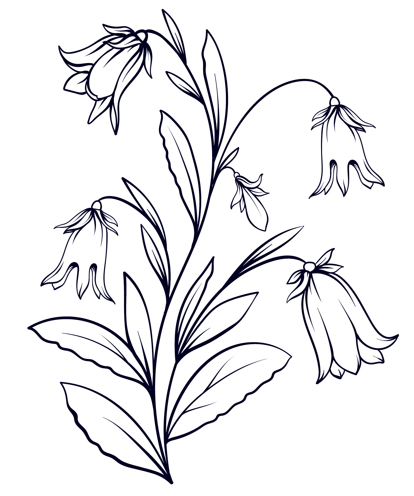 Раскраска Нежные колокольчики №13805. Раскраски по возрастам и полу. Раскраски для девочек.