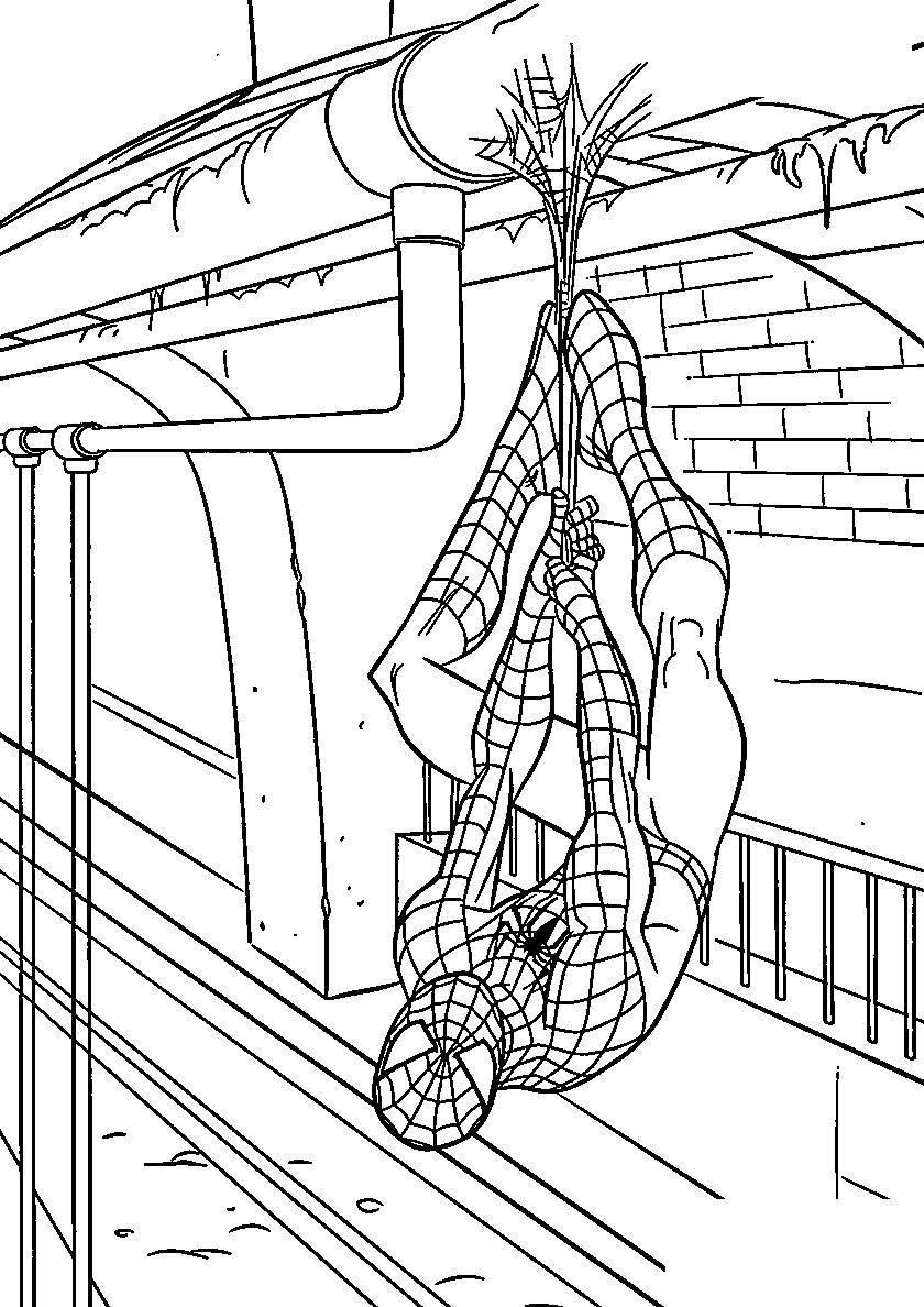 Spider-Man на паутинке №430. Раскраски для мальчиков по категориям. Человек-паук.