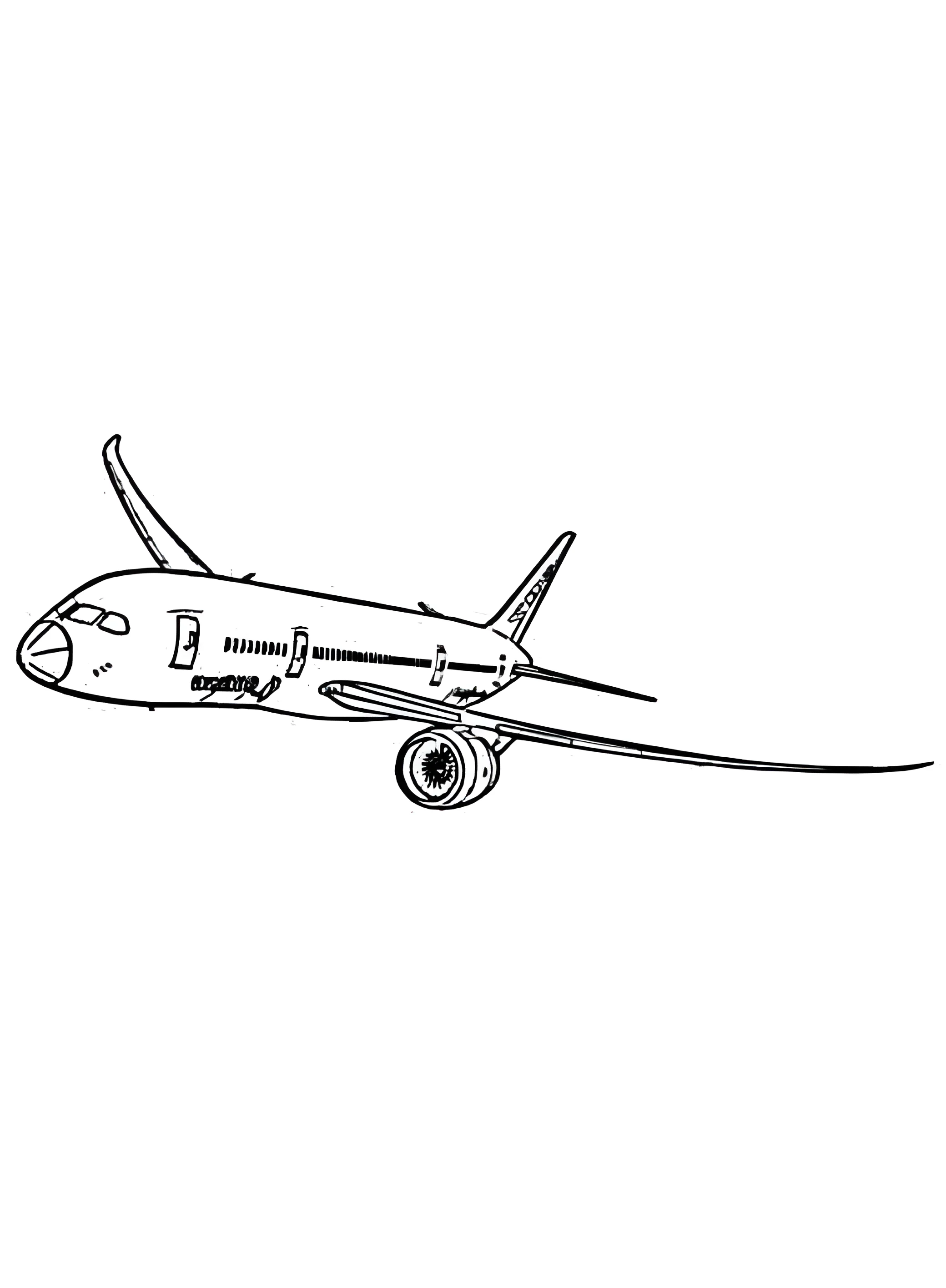 Самолет Boeing 787 Dreamliner №2882. Раскраски по возрастам и полу. Раскраски для мальчиков.