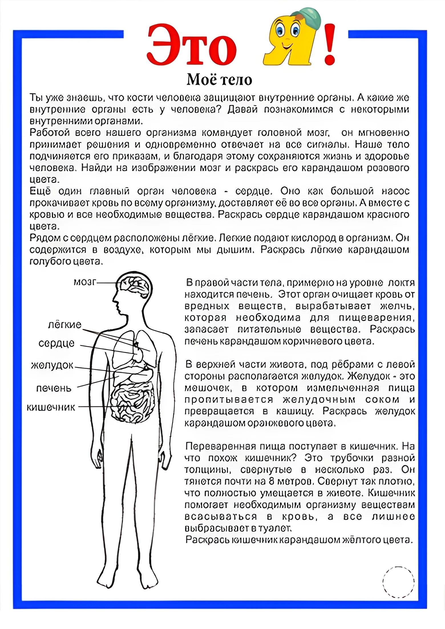 Детский развивающий журнал "Это Я!" Выпуск №4 №1624. Развивающие задания (ассорти). Ассорти развивающих заданий.