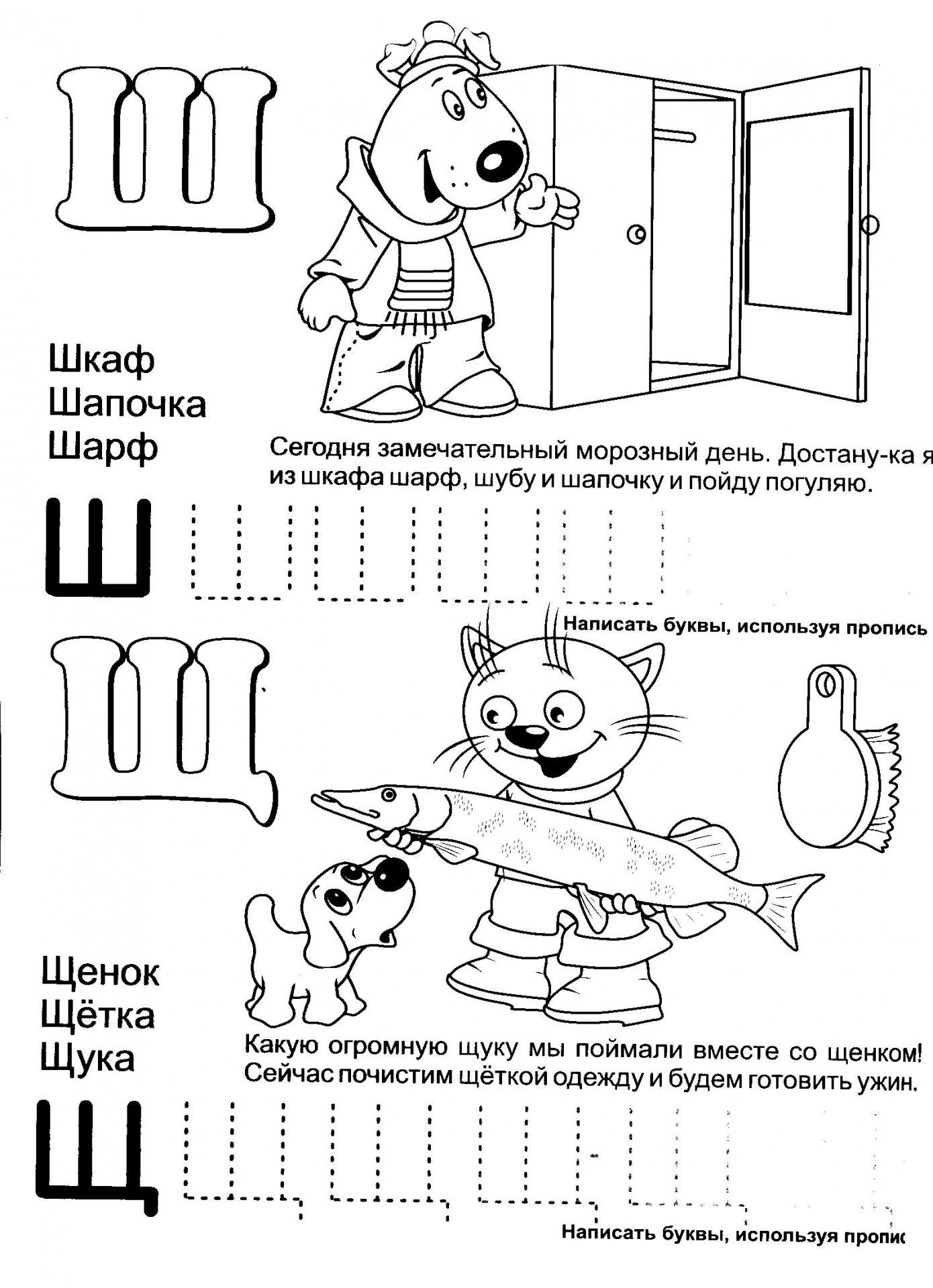 Обучающая азбука буквы Ш и Щ №1184. Прописи онлайн. Прописи с картинками, раскрасками и стихами для малышей.