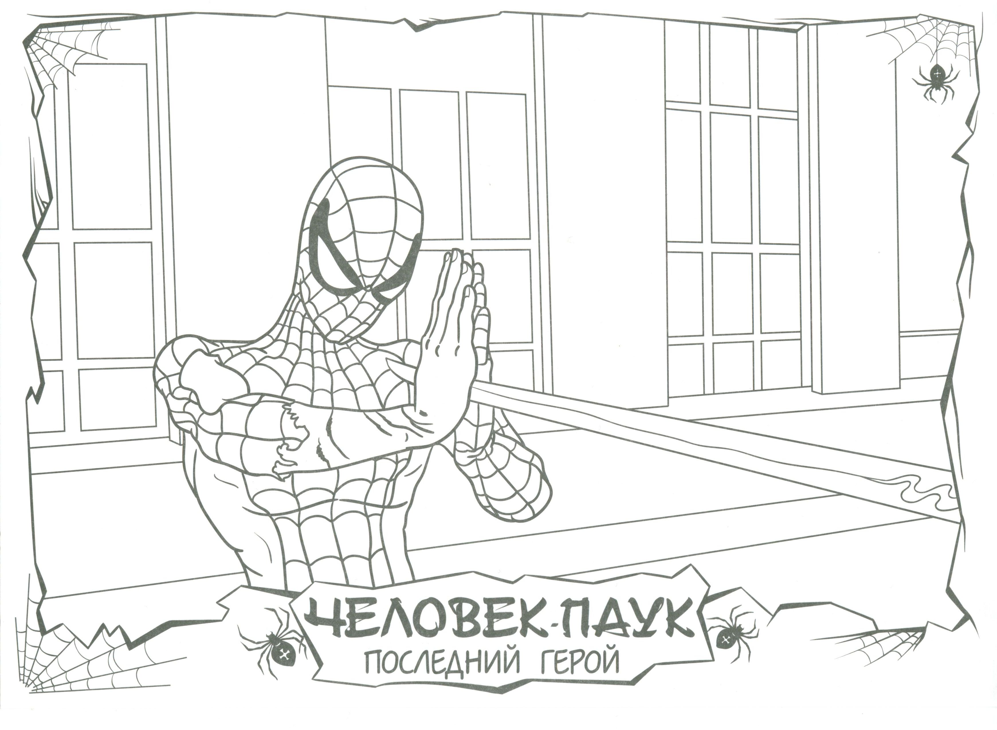 Человек-паук поймал руками меч №7703. Популярные раскраски. Ассорти раскрасок с персонажами, героями, принцессами.