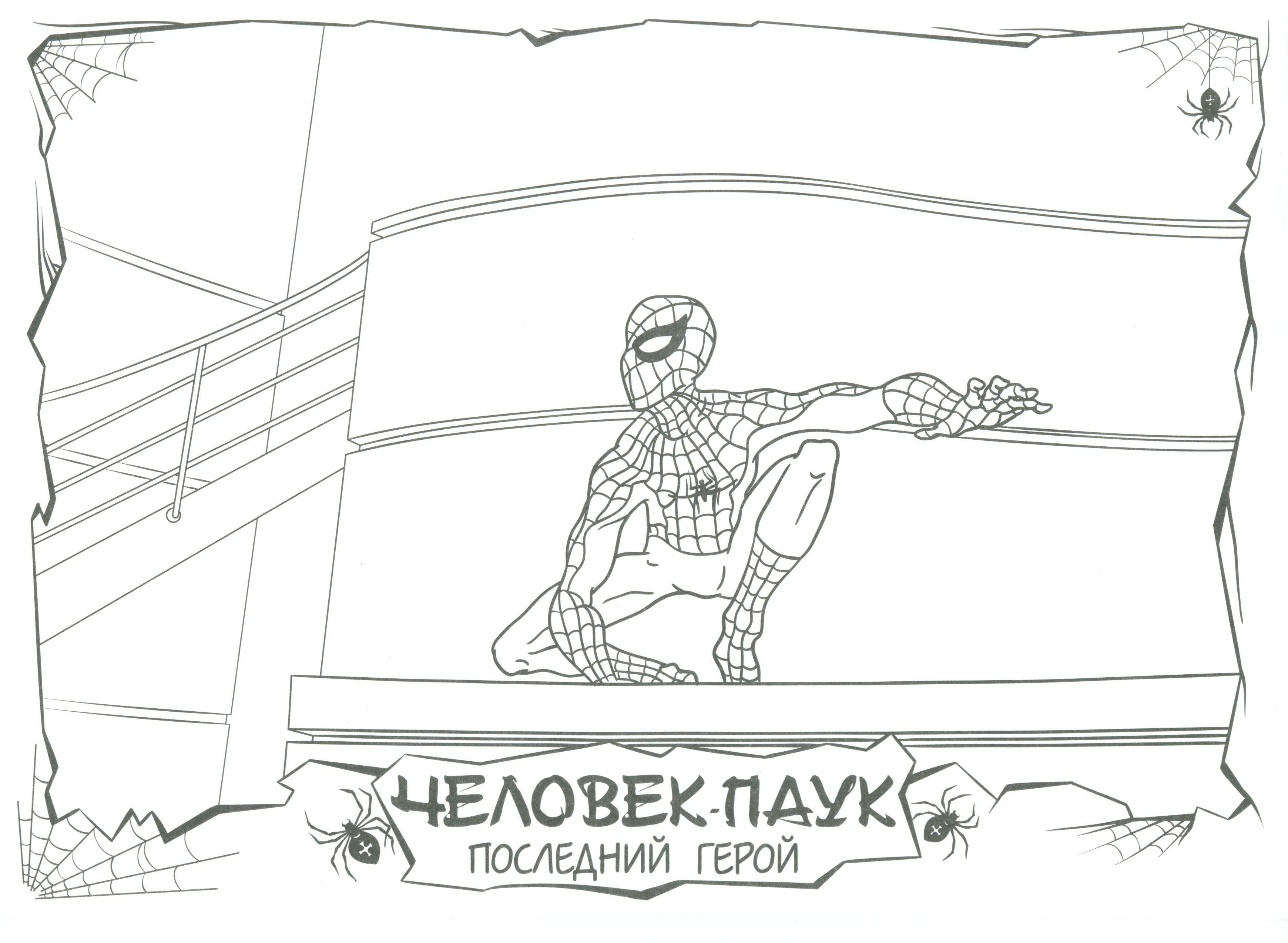 Человек-Паук проник в здание №7700. Популярные раскраски. Ассорти раскрасок с персонажами, героями, принцессами.