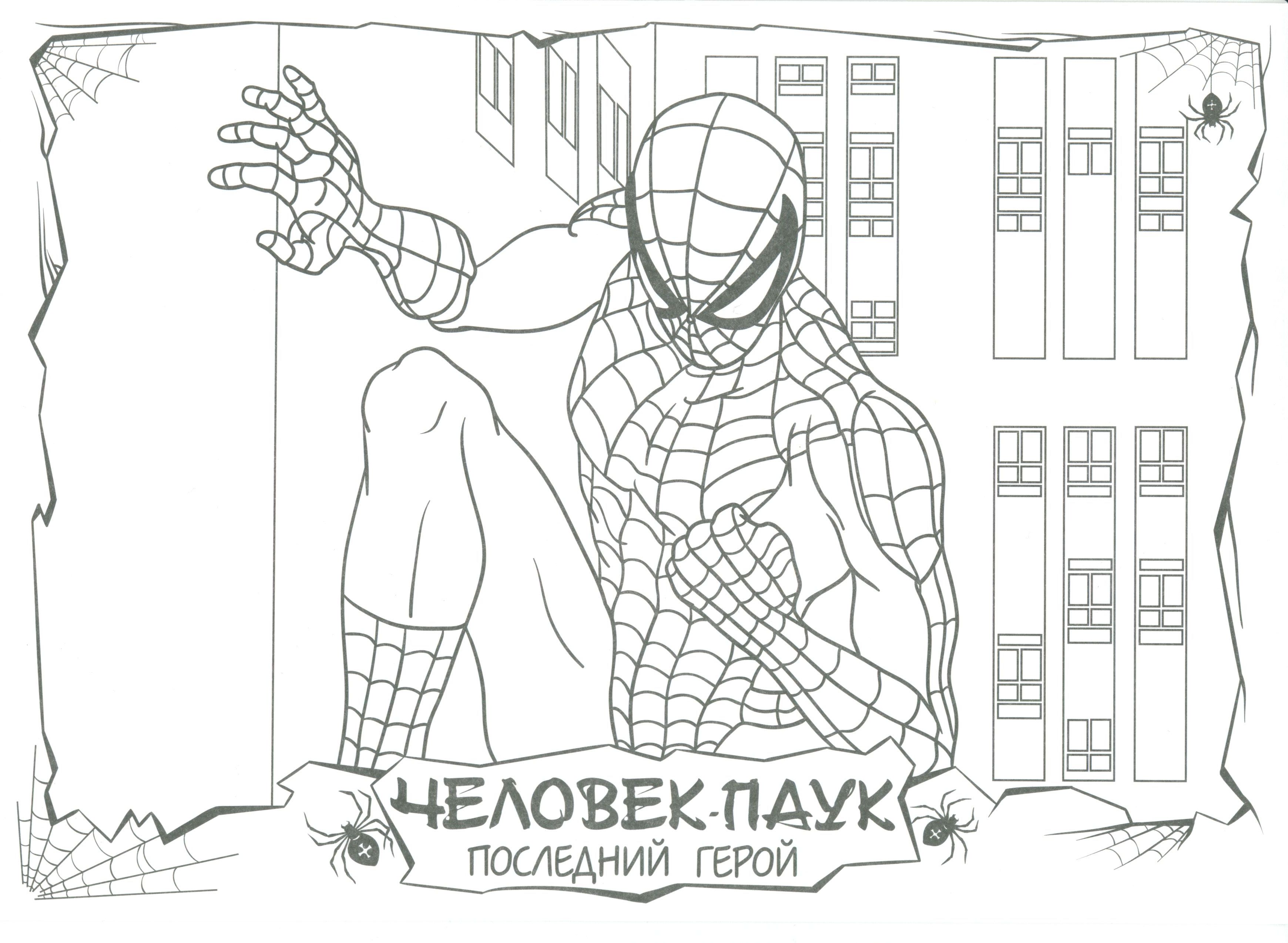 Сила Человека-Паука №7698. Популярные раскраски. Ассорти раскрасок с персонажами, героями, принцессами.