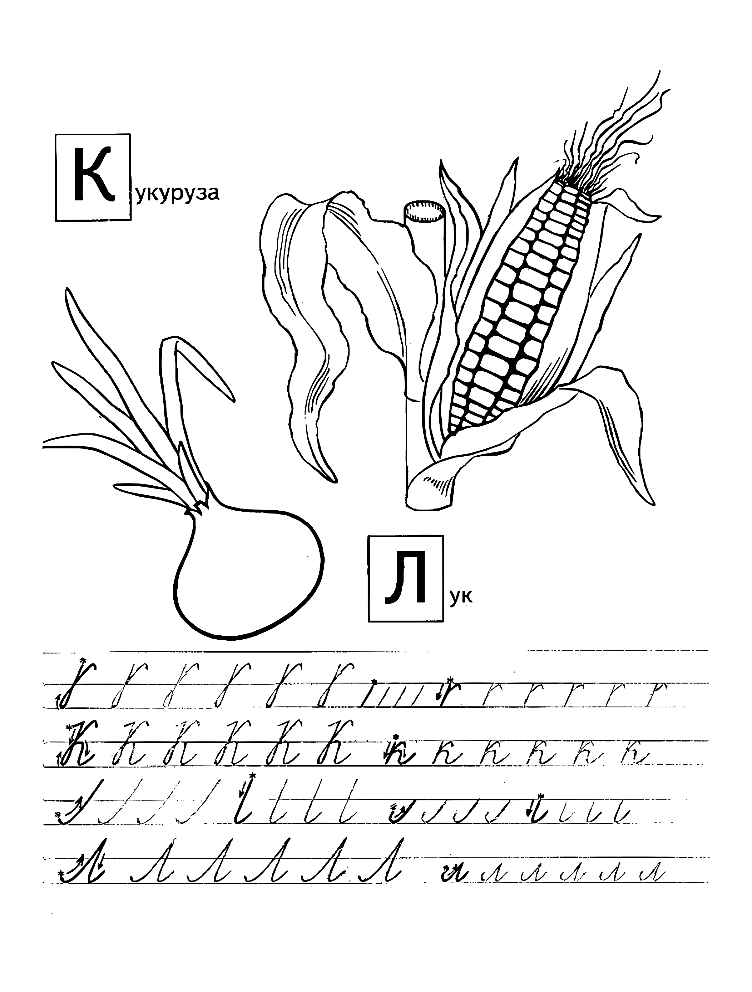 Прописи с фруктами К Л №1122. Прописи онлайн. Первые прописи для малышей в хорошем качестве на A4.