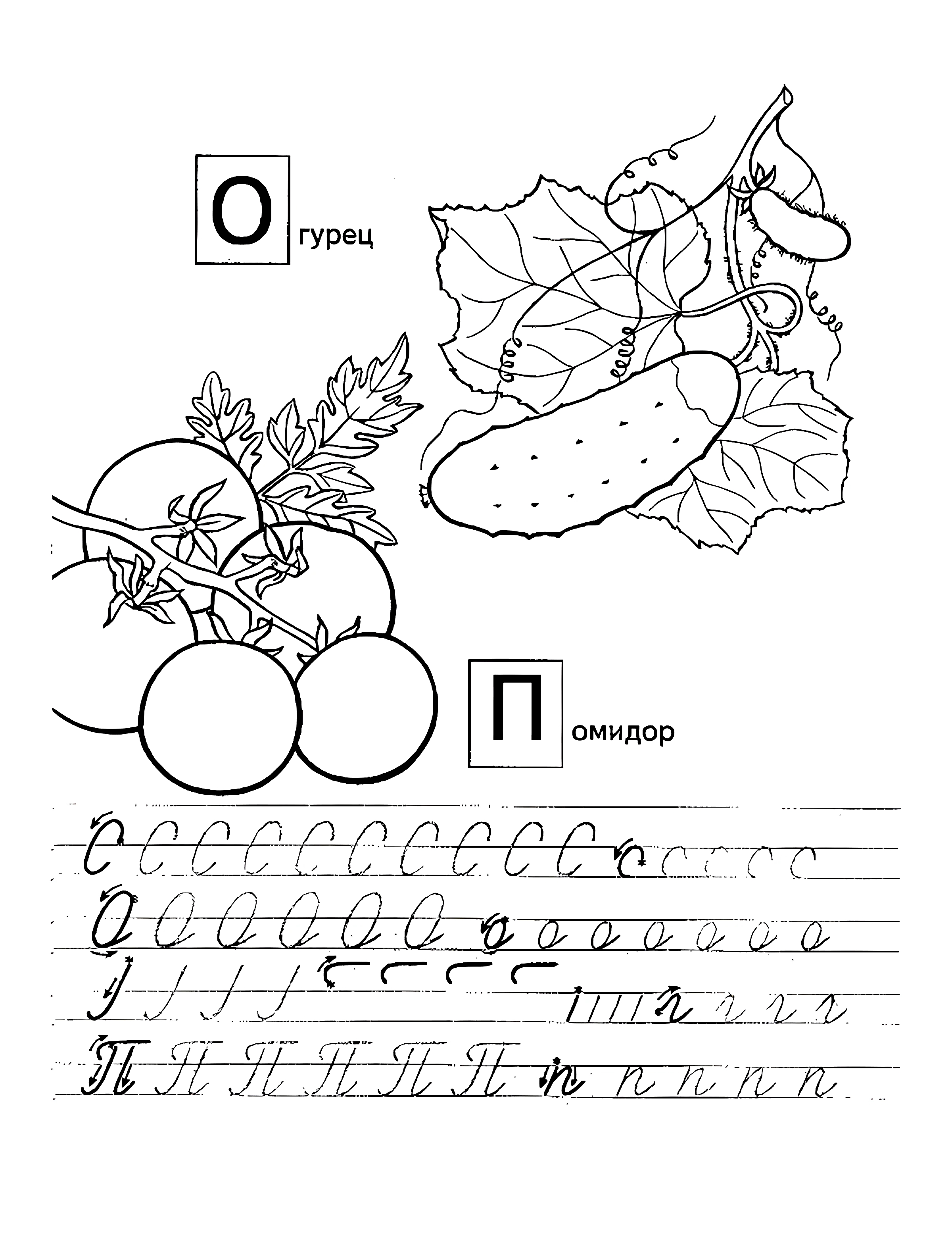 Прописи с фруктами О П №1124. Прописи онлайн. Первые прописи для малышей в хорошем качестве на A4.