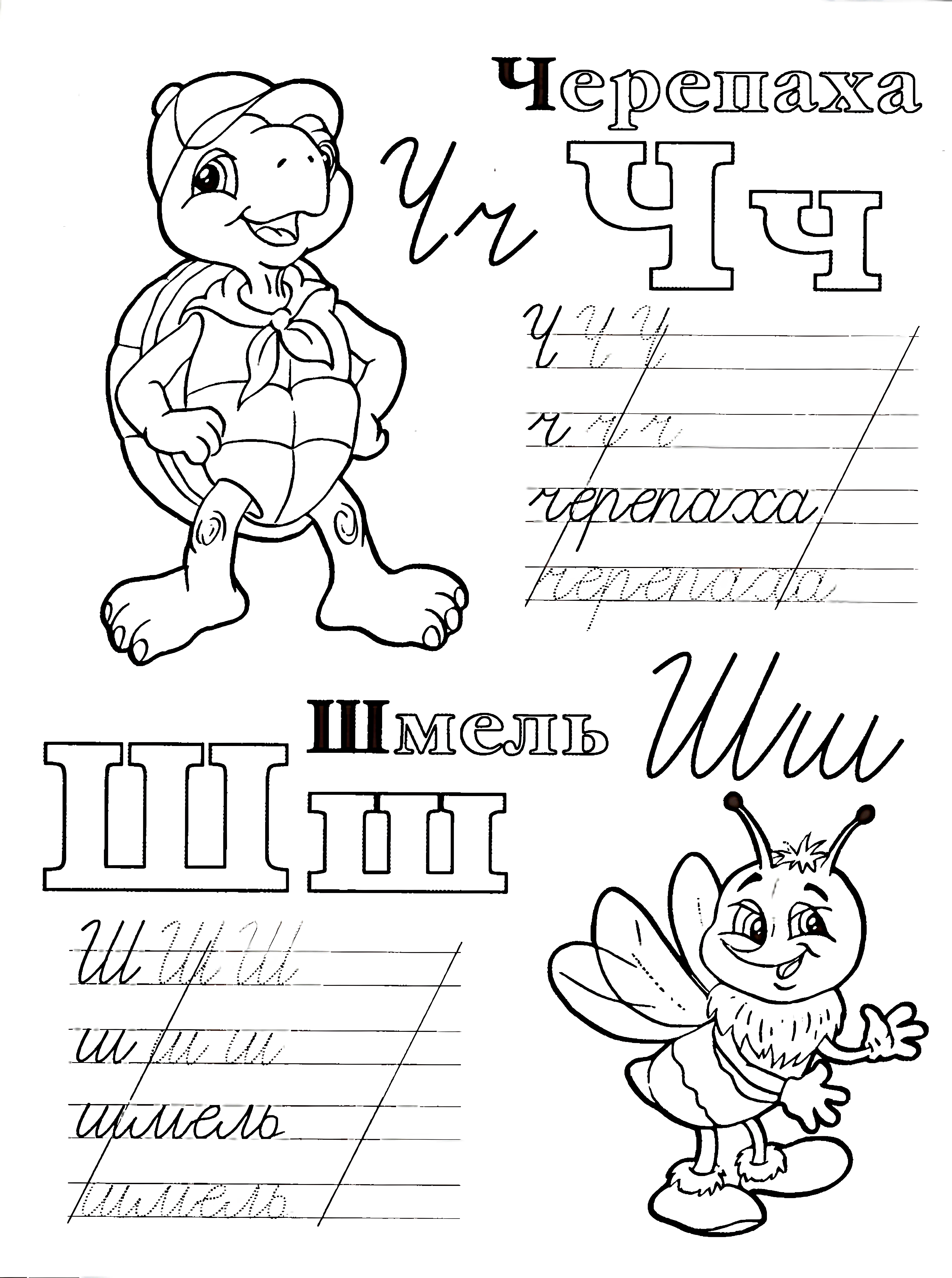 Живая азбука прописи Ч Ш №1027. Прописи онлайн. Первые прописи для малышей в хорошем качестве на A4.