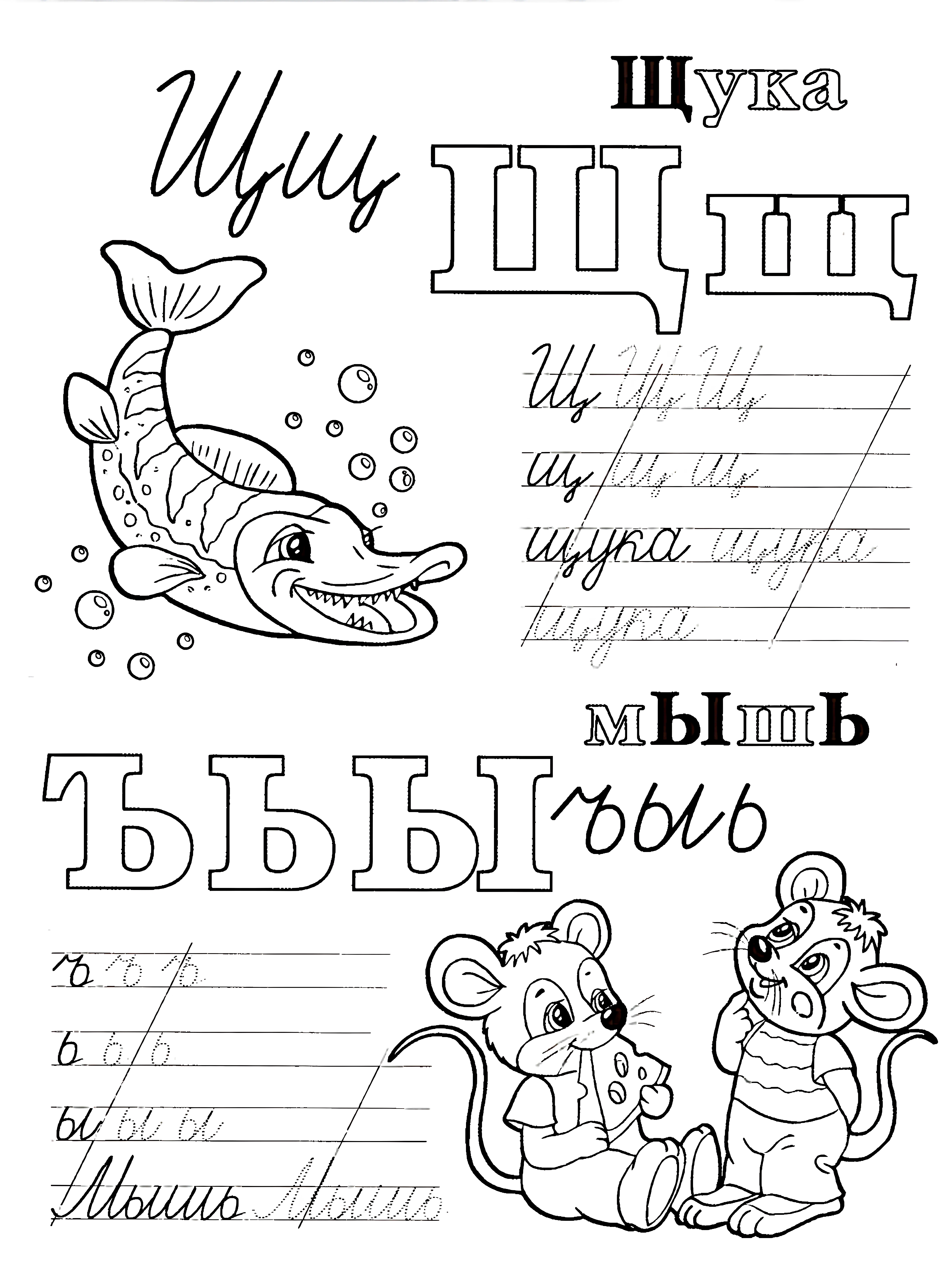 Живая азбука прописи Щ Ъ Ь Ы №1026. Прописи онлайн. Первые прописи для малышей в хорошем качестве на A4.
