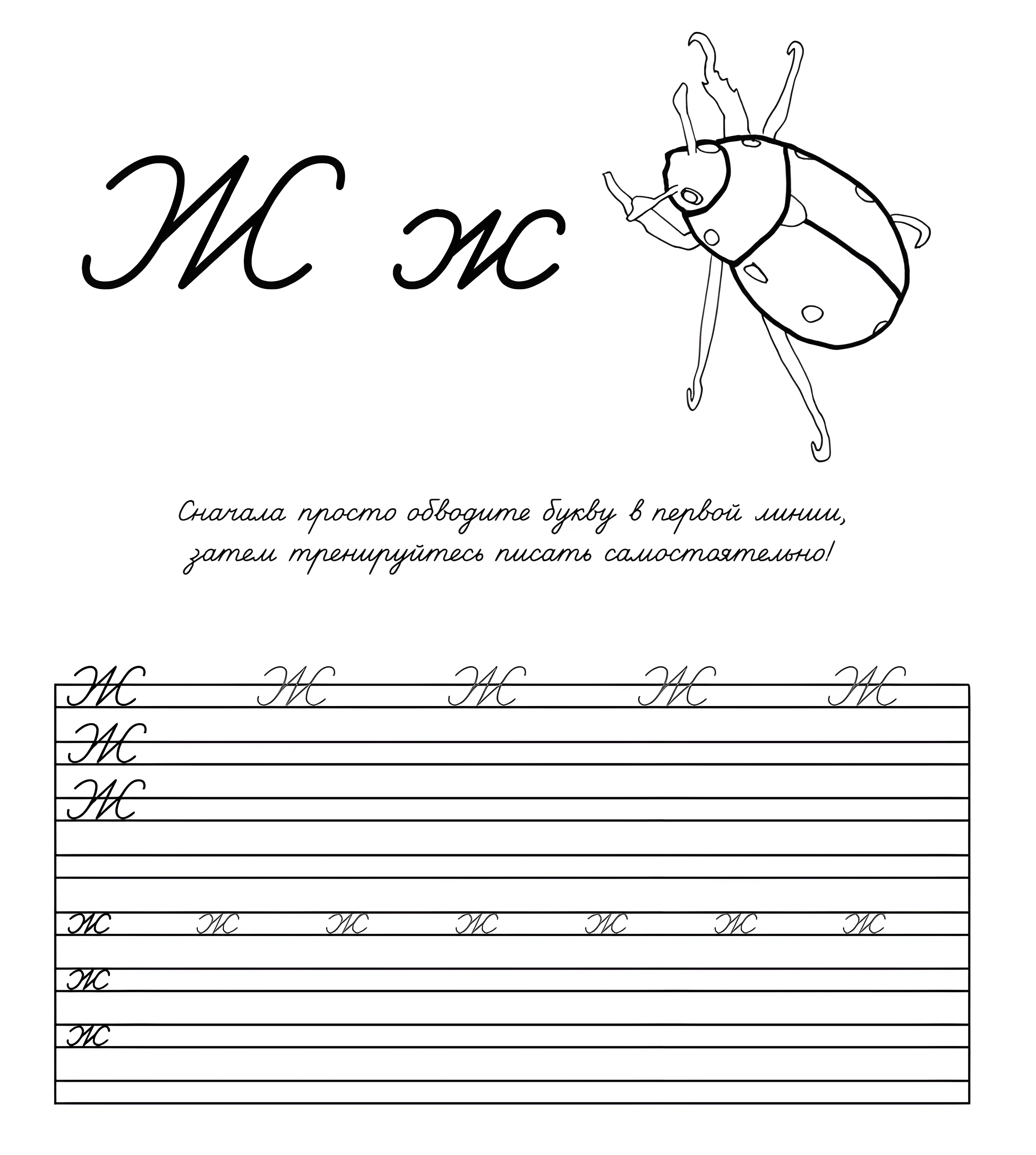 Прописная буква Ж (Жук №772. Прописи онлайн. Прописи Ассорти Прописи букв от А до Я.