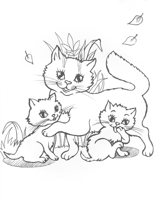 Кошка с двумя котятами №3374. Популярные раскраски. Животные, рыбы, насекомые.