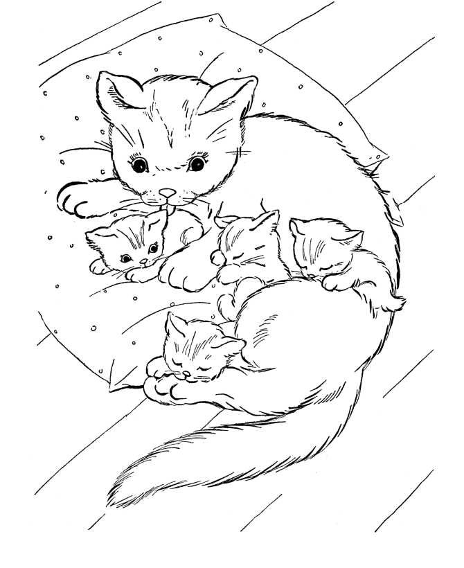 Кошка с котятами №3768. Популярные раскраски. Животные, рыбы, насекомые.