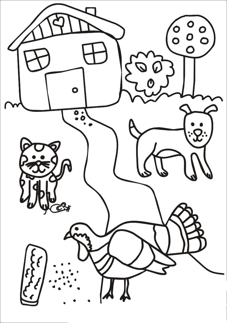 Кот, собака и индюк №3771. Популярные раскраски. Животные, рыбы, насекомые.