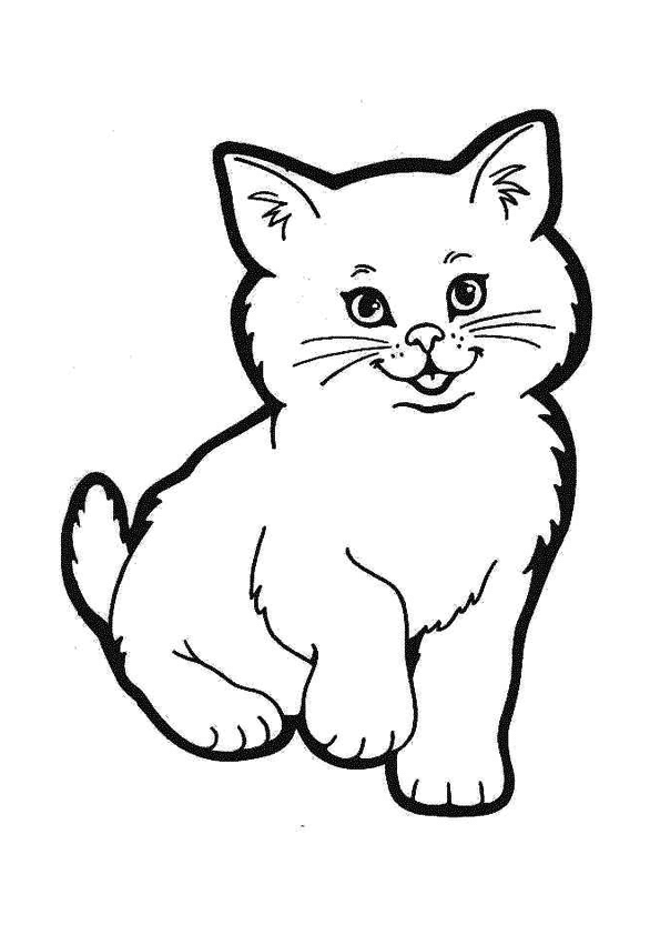Любимый котенок №4032. Популярные раскраски. Животные, рыбы, насекомые.