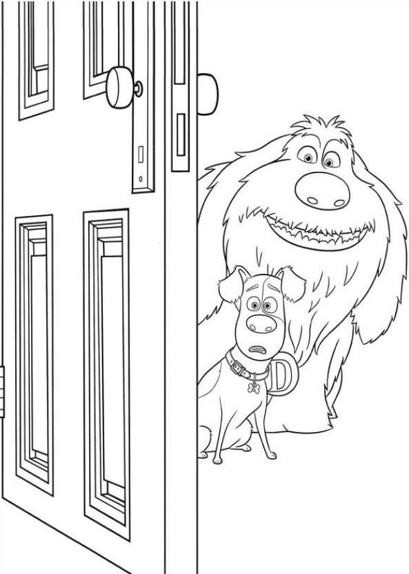 Макс и Дюк выглядывают из-за двери №3335. Популярные раскраски. Животные, рыбы, насекомые.