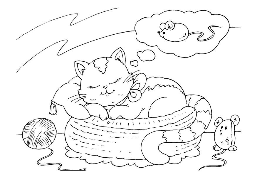 Спящая кошка №3756. Популярные раскраски. Животные, рыбы, насекомые.