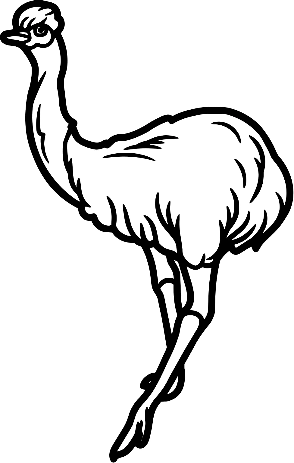 Распечатываемый эму от Emu №17845. Раскраски животные (весь животный мир). Эму.
