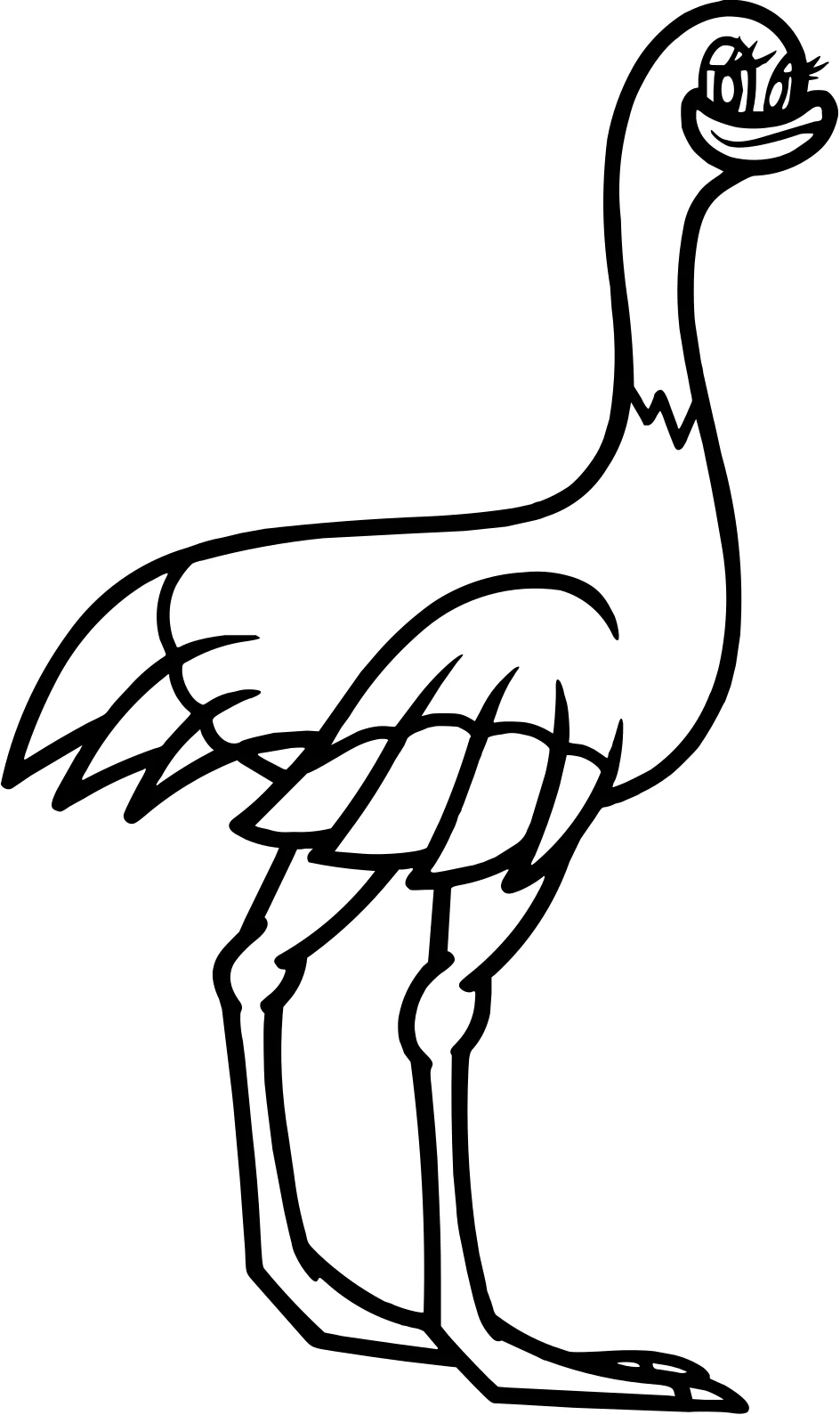 Прекрасный эму от Emu №17844. Раскраски животные (весь животный мир). Эму.