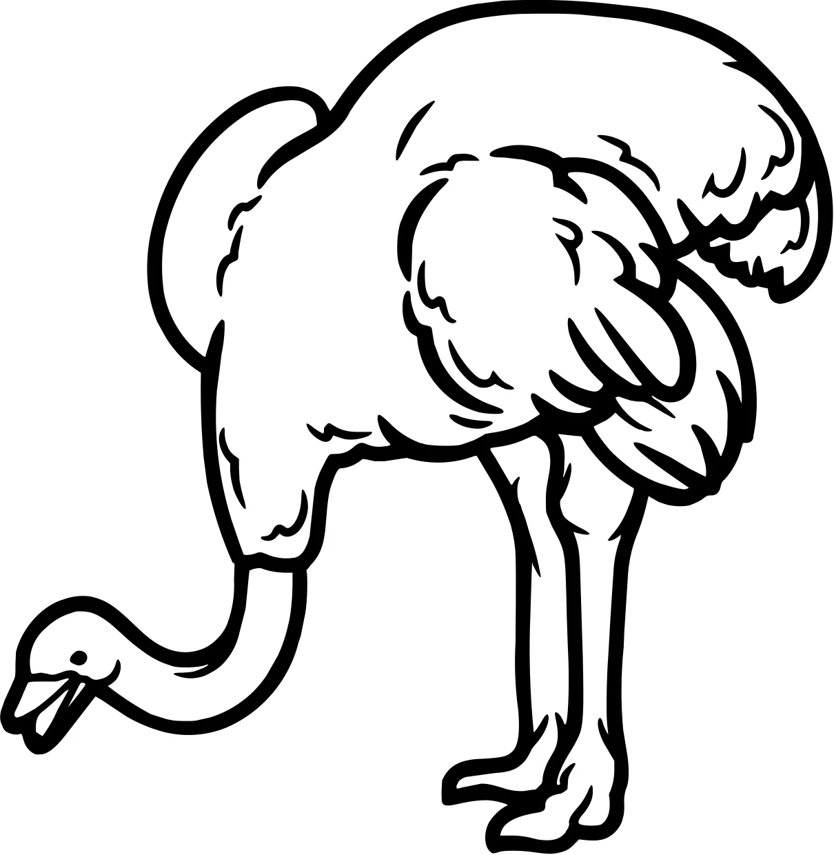 Забавный эму от Emu №17843. Раскраски животные (весь животный мир). Эму.