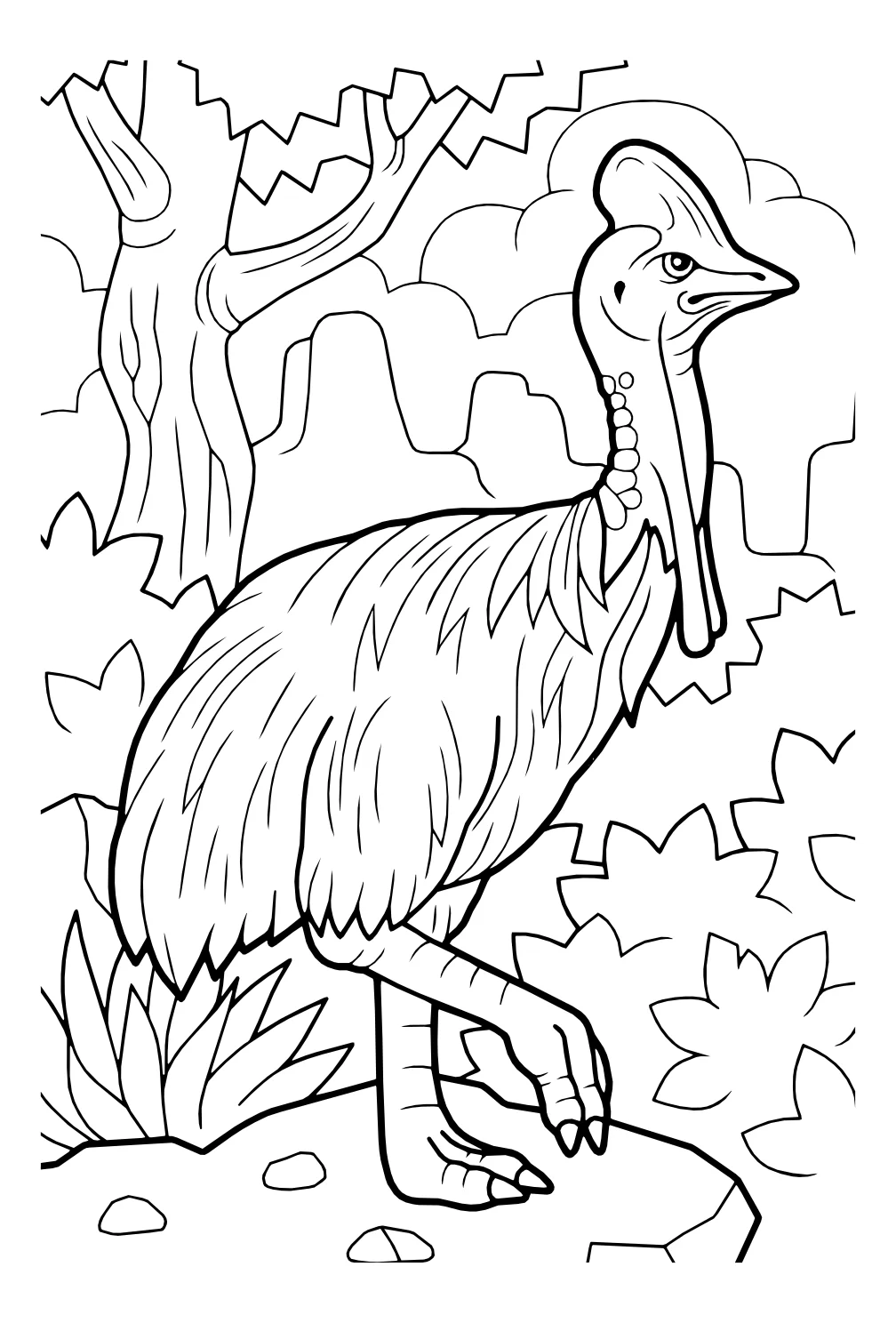 Казуар стоит на камне в лесу №18114. Раскраски животные (весь животный мир). Казуар.