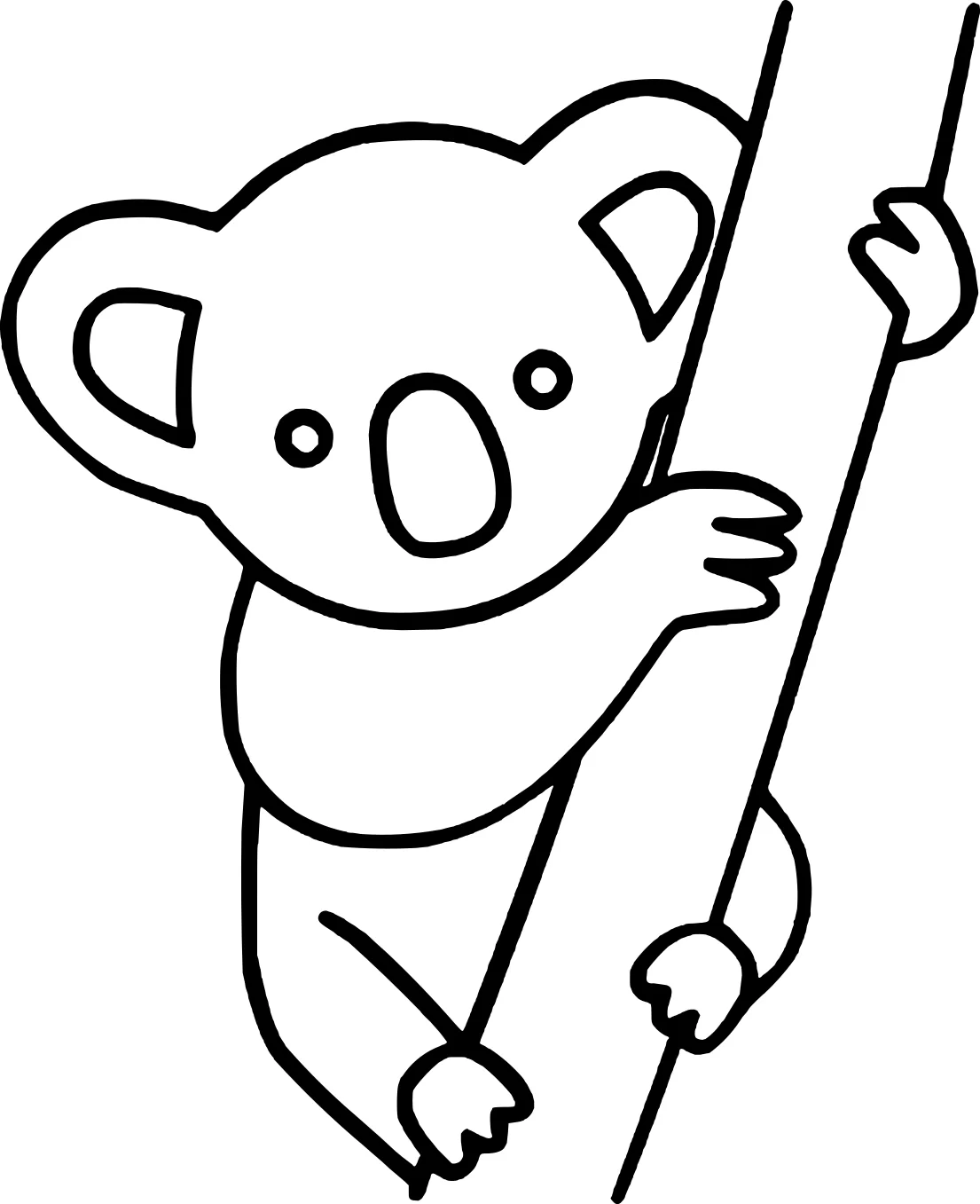 Бесплатная раскраска "Коала" от Koala №18283. Раскраски животные (весь животный мир). Коала.