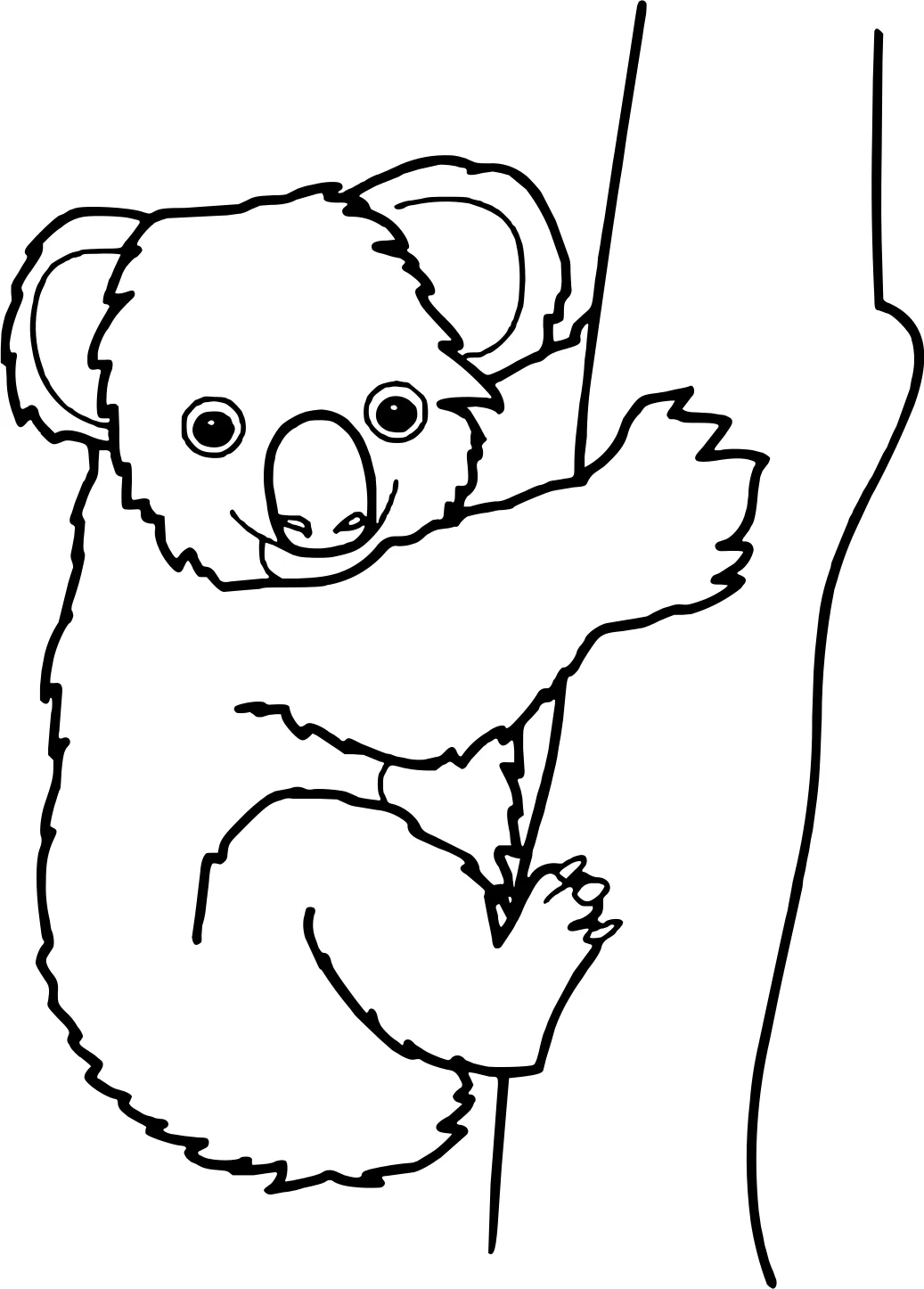 Коала — дикое животное №18356. Раскраски животные (весь животный мир). Коала.