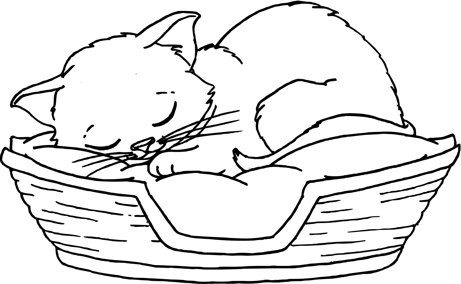 Раскраска "Котики №17792. Раскраски животные (весь животный мир). Милые котики.
