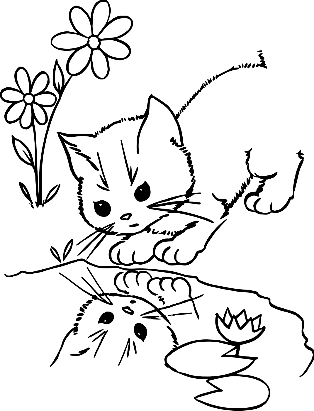 Раскраска "Котики №17672. Раскраски животные (весь животный мир). Милые котики.
